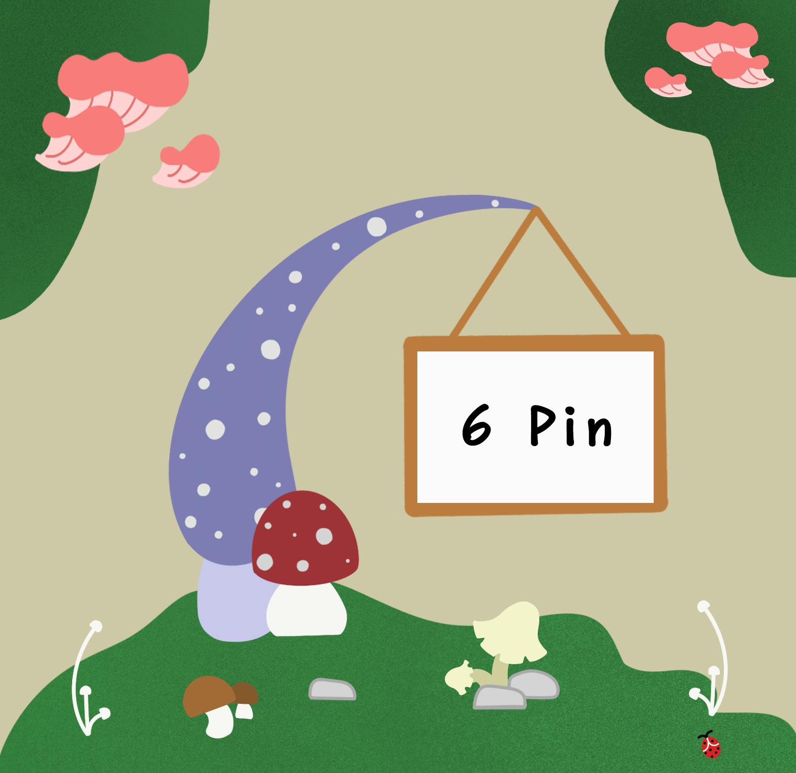 6 Pins