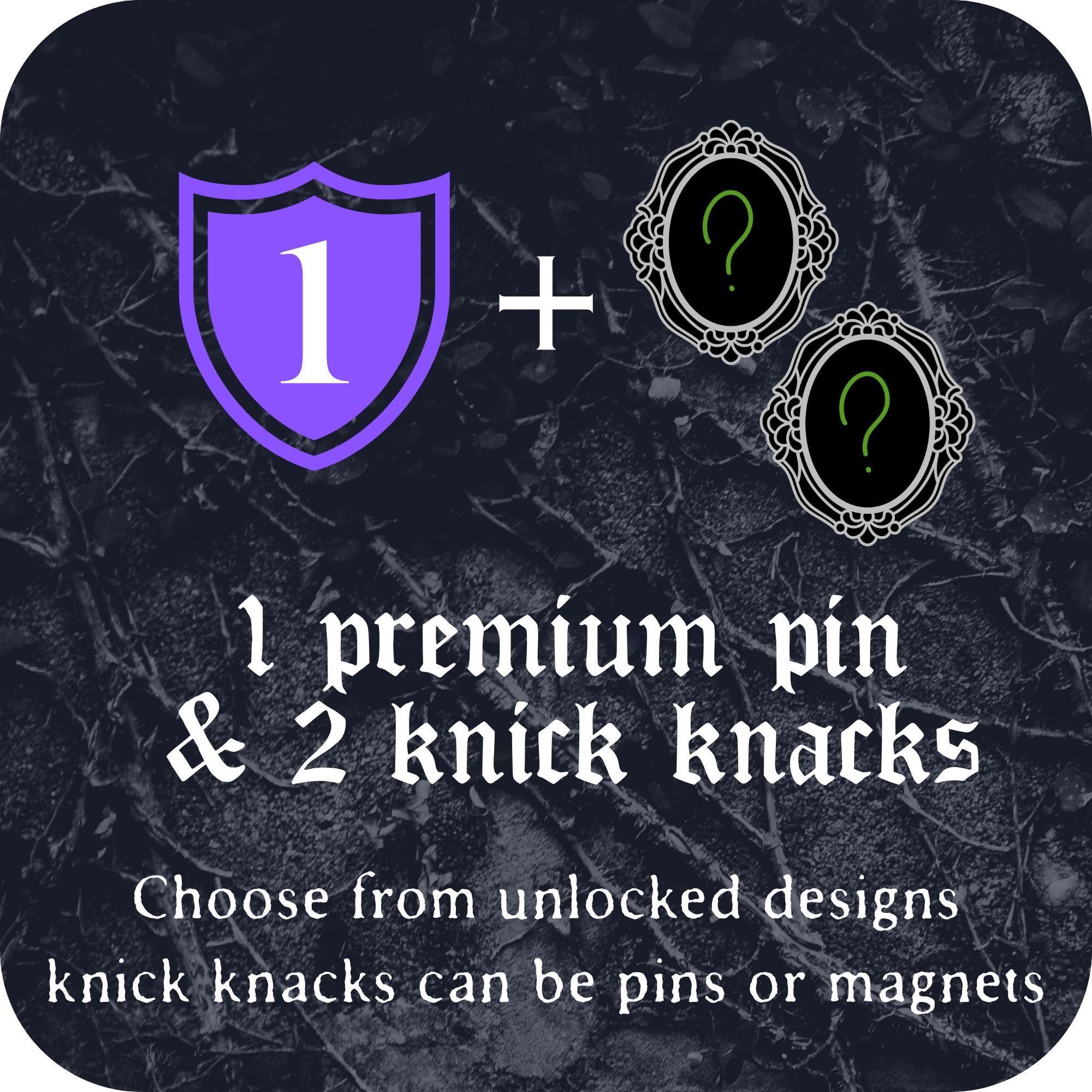 1 premium pin + 2 knick knacks