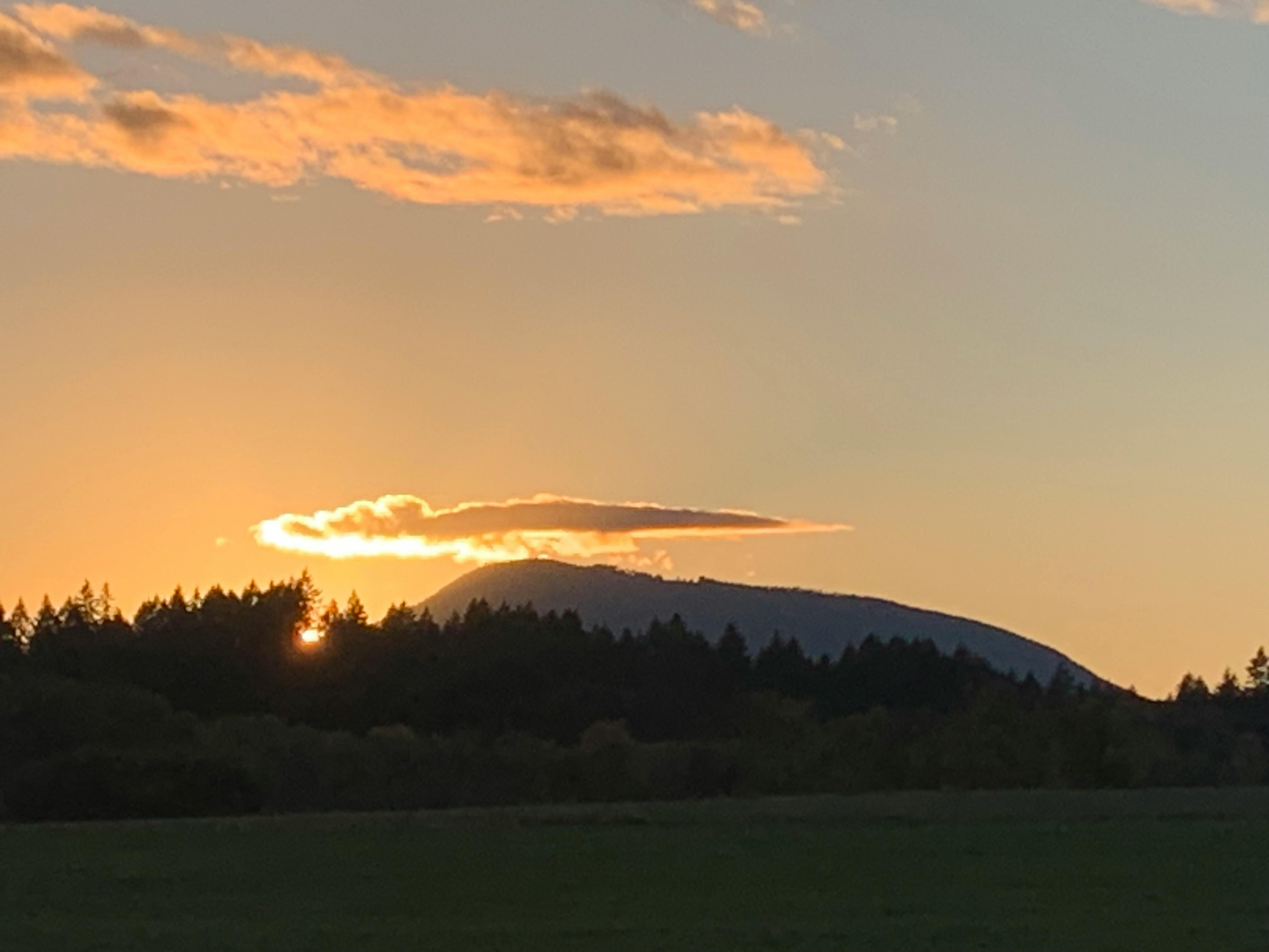 user avatar image for recordse