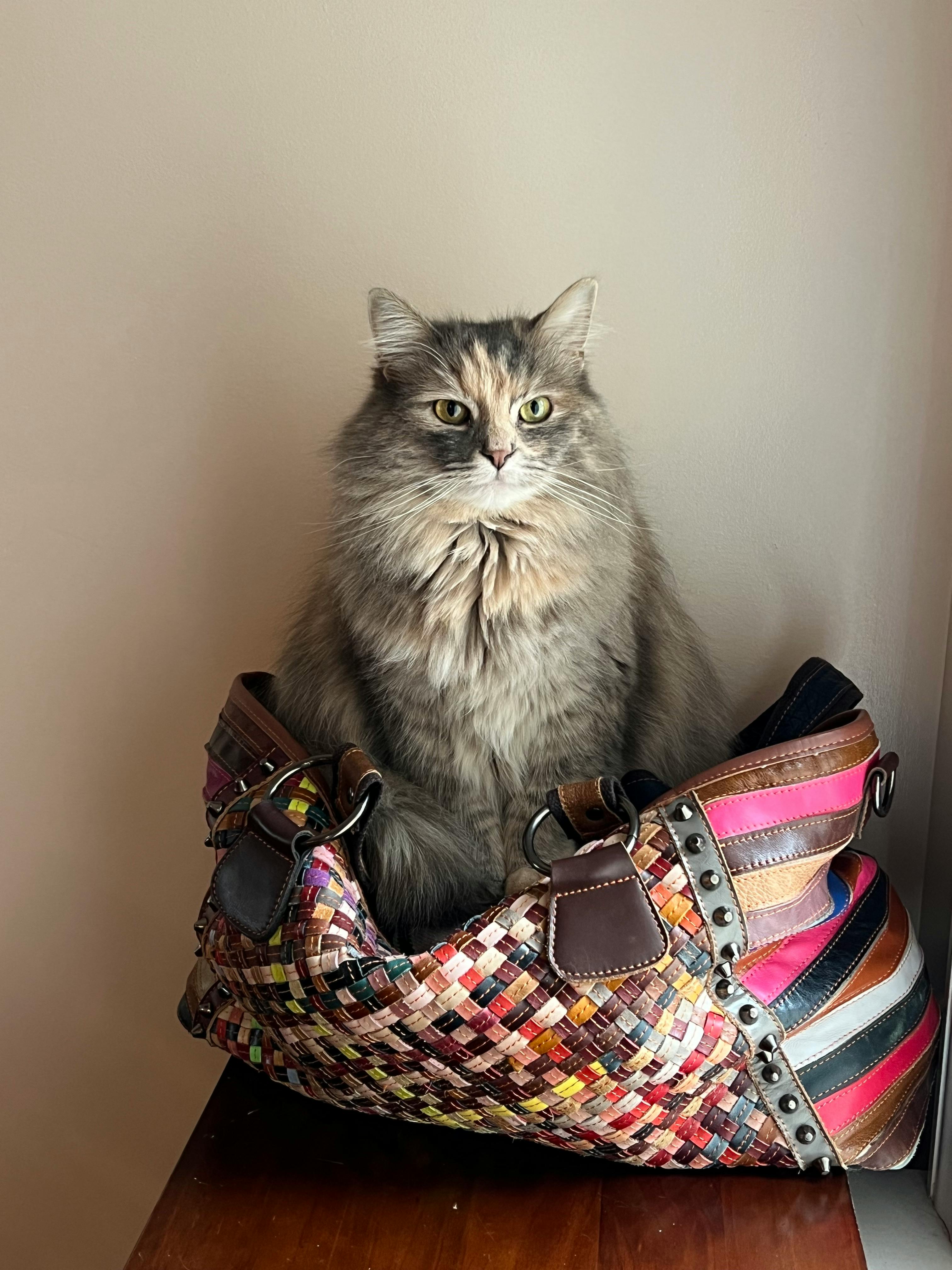 user avatar image for KAWP369