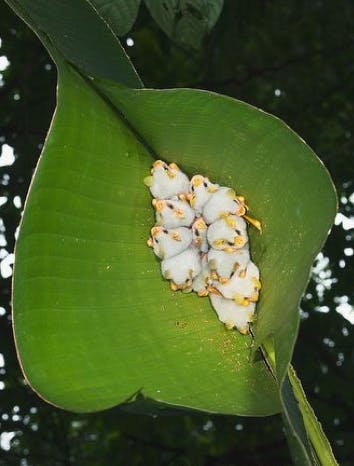 user avatar image for Shawell