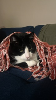 user avatar image for Jess