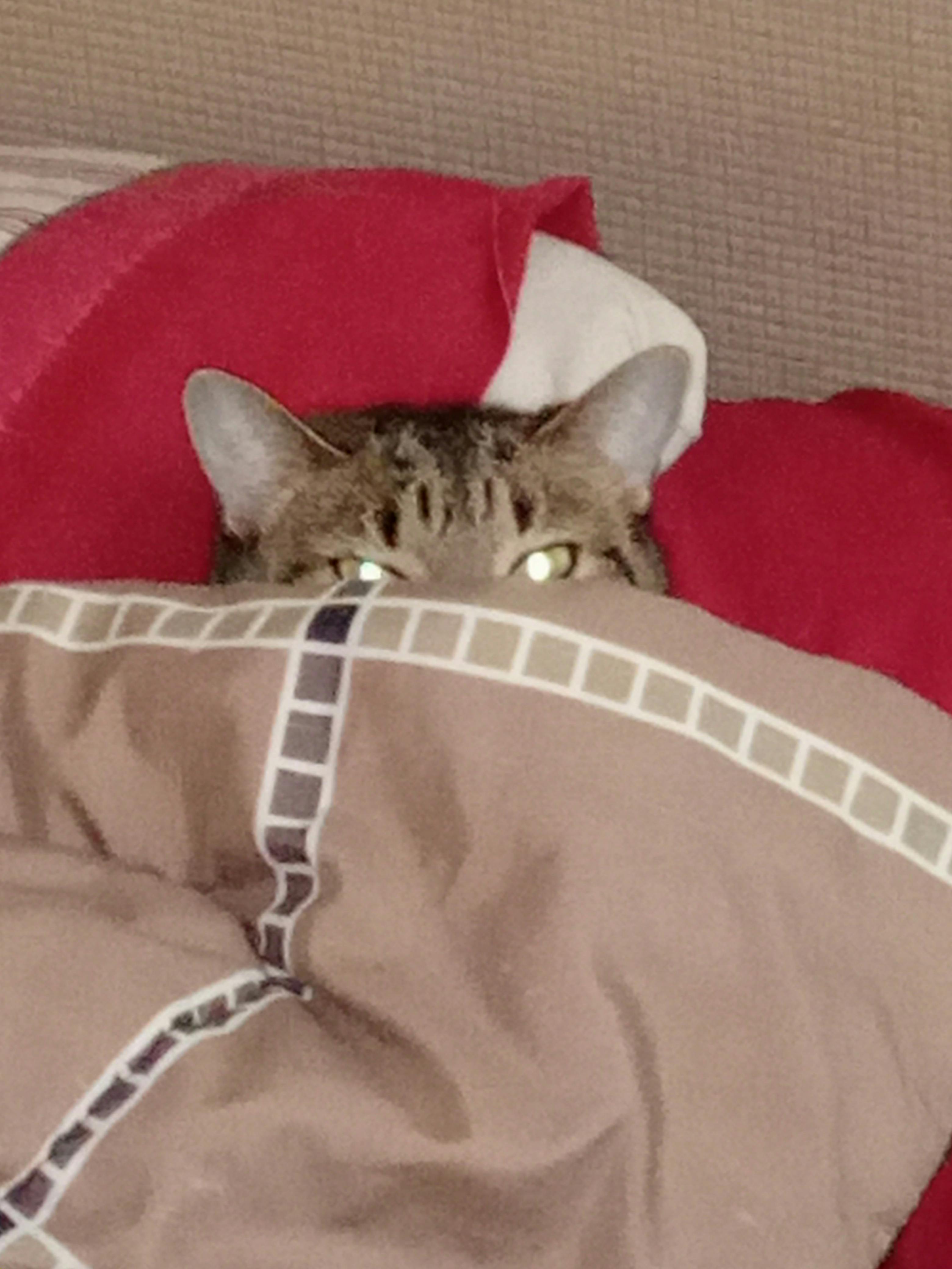 user avatar image for Dan