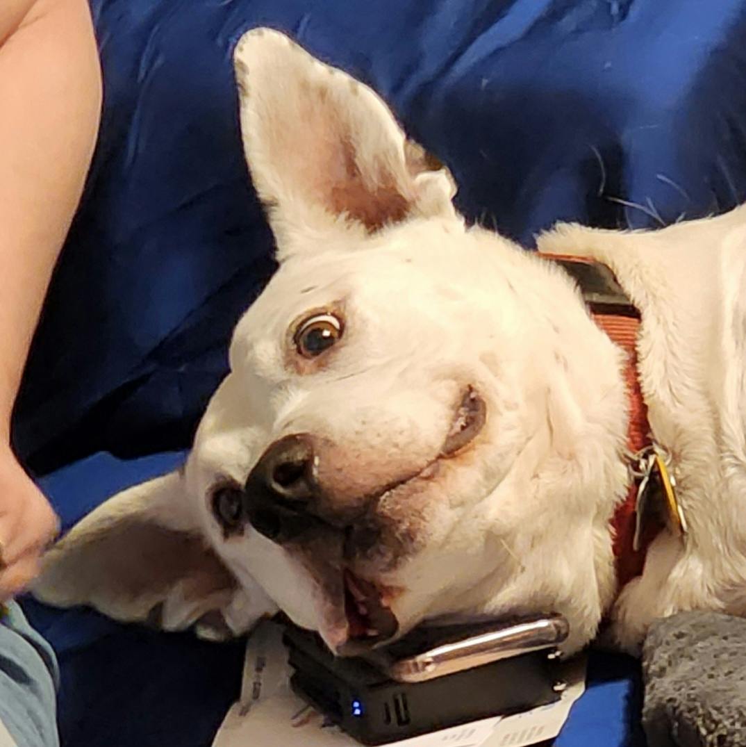 user avatar image for Christian