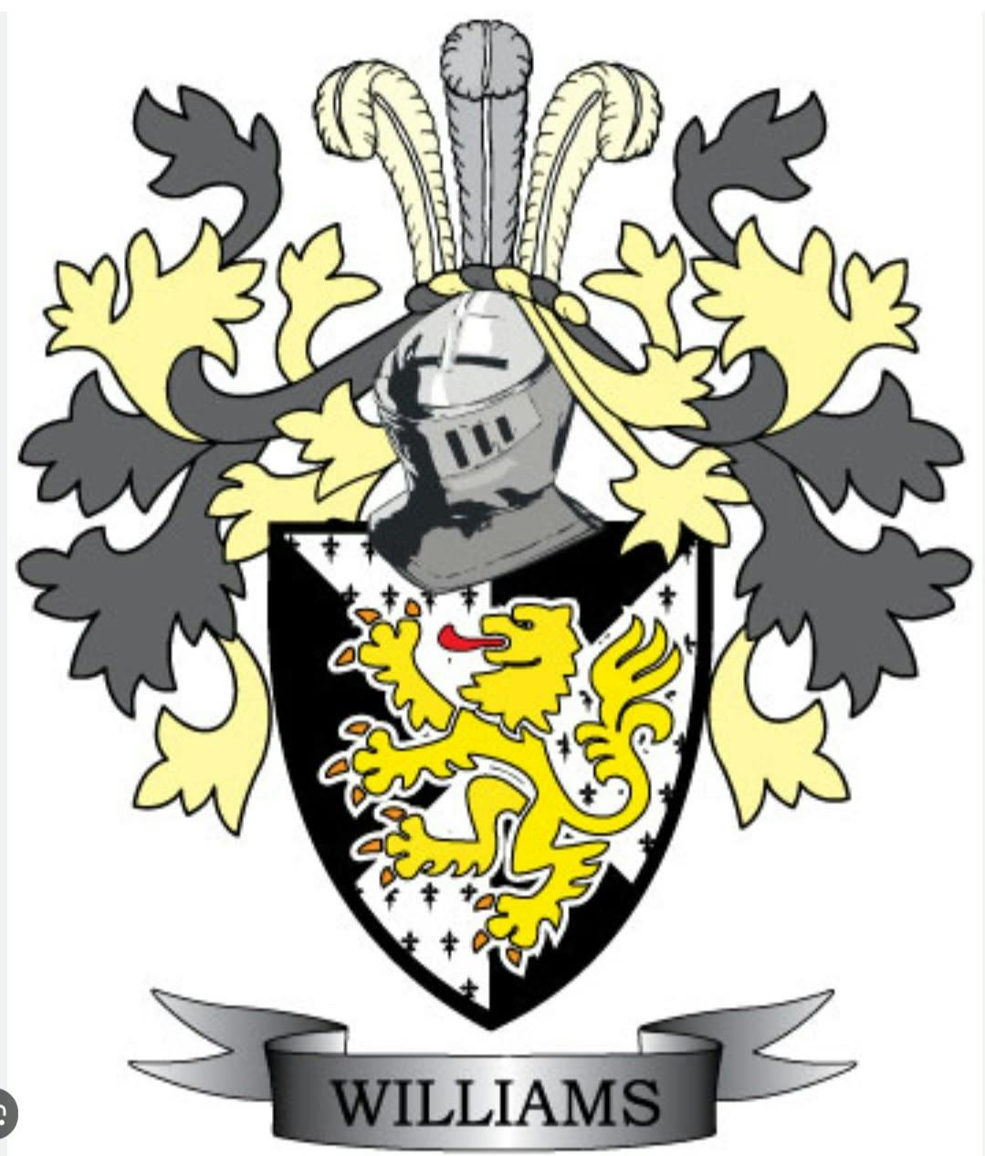 user avatar image for Tim Williams 