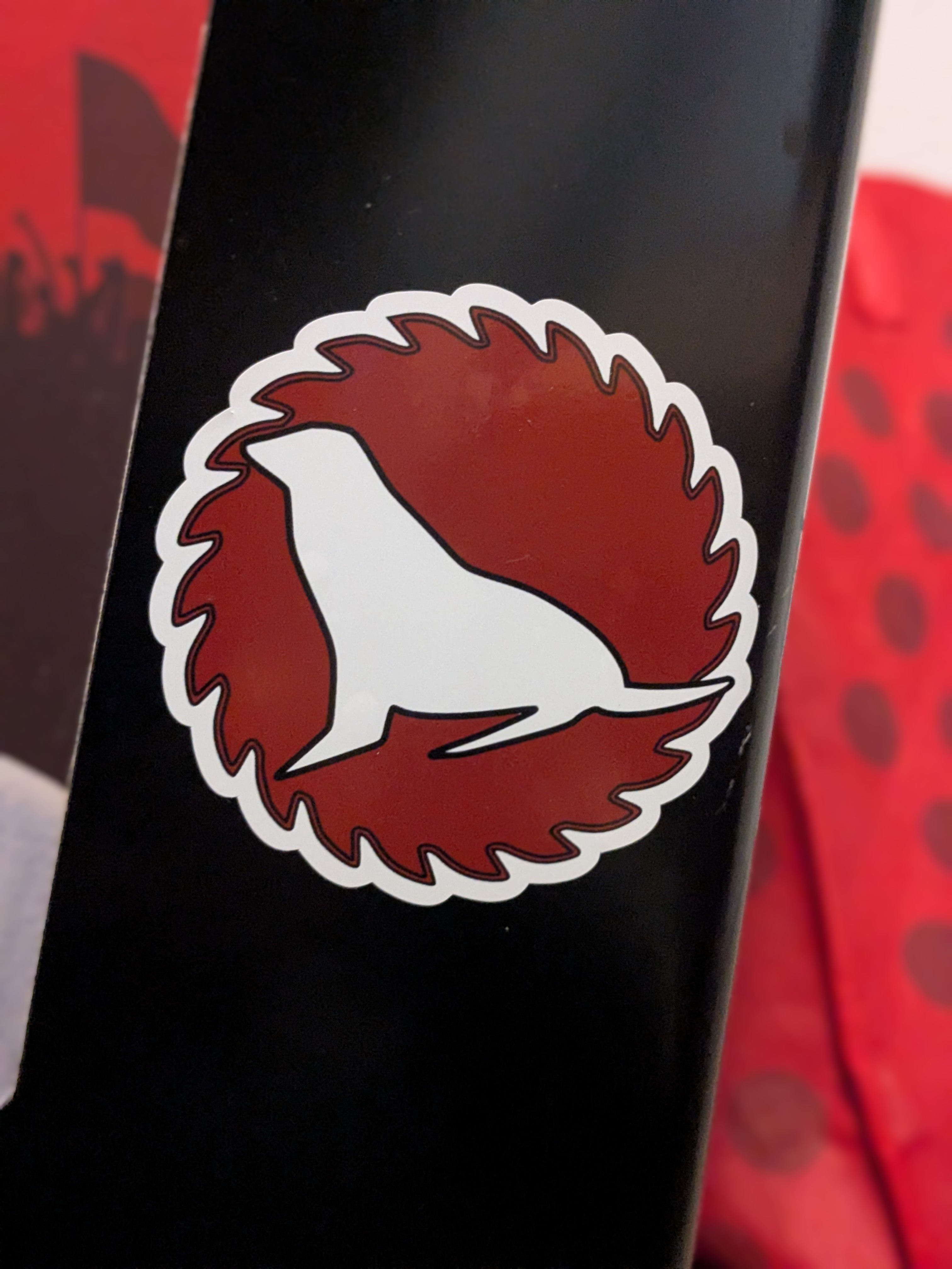 user avatar image for Gavin k