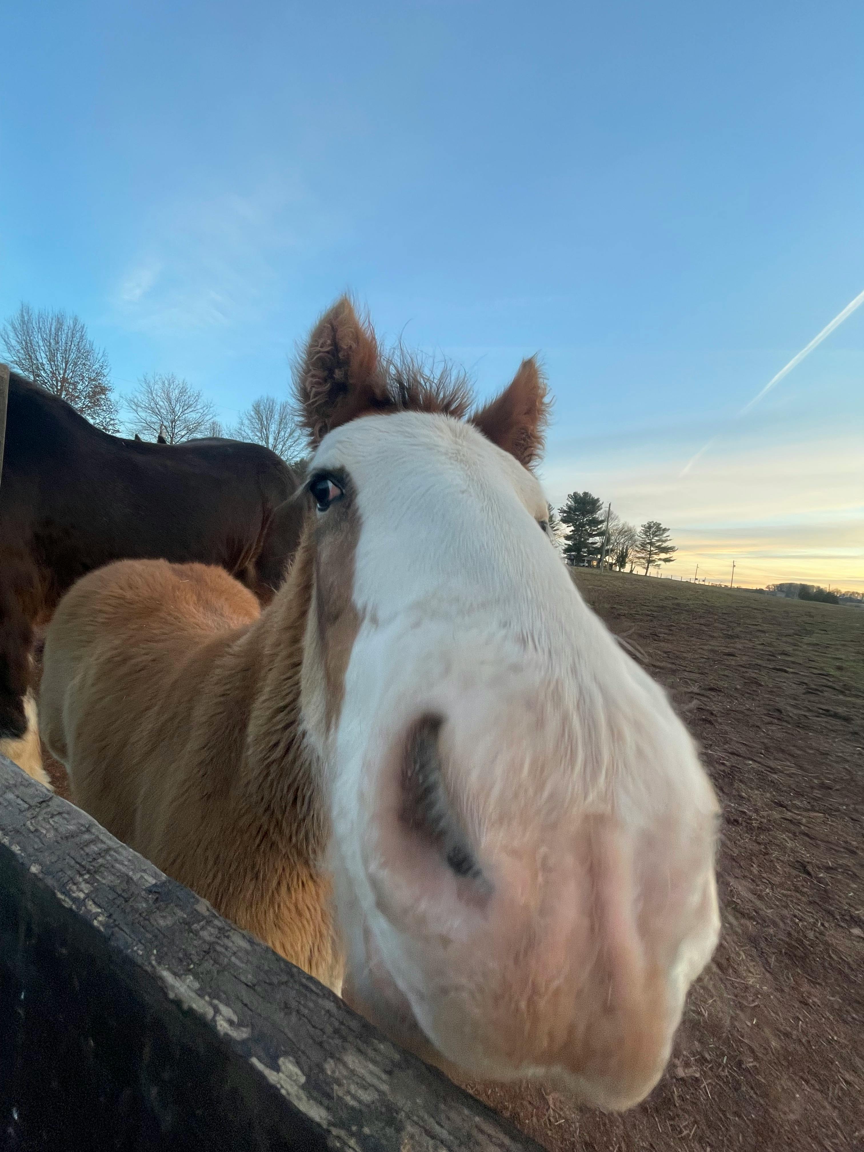 user avatar image for Rowan Tarmy