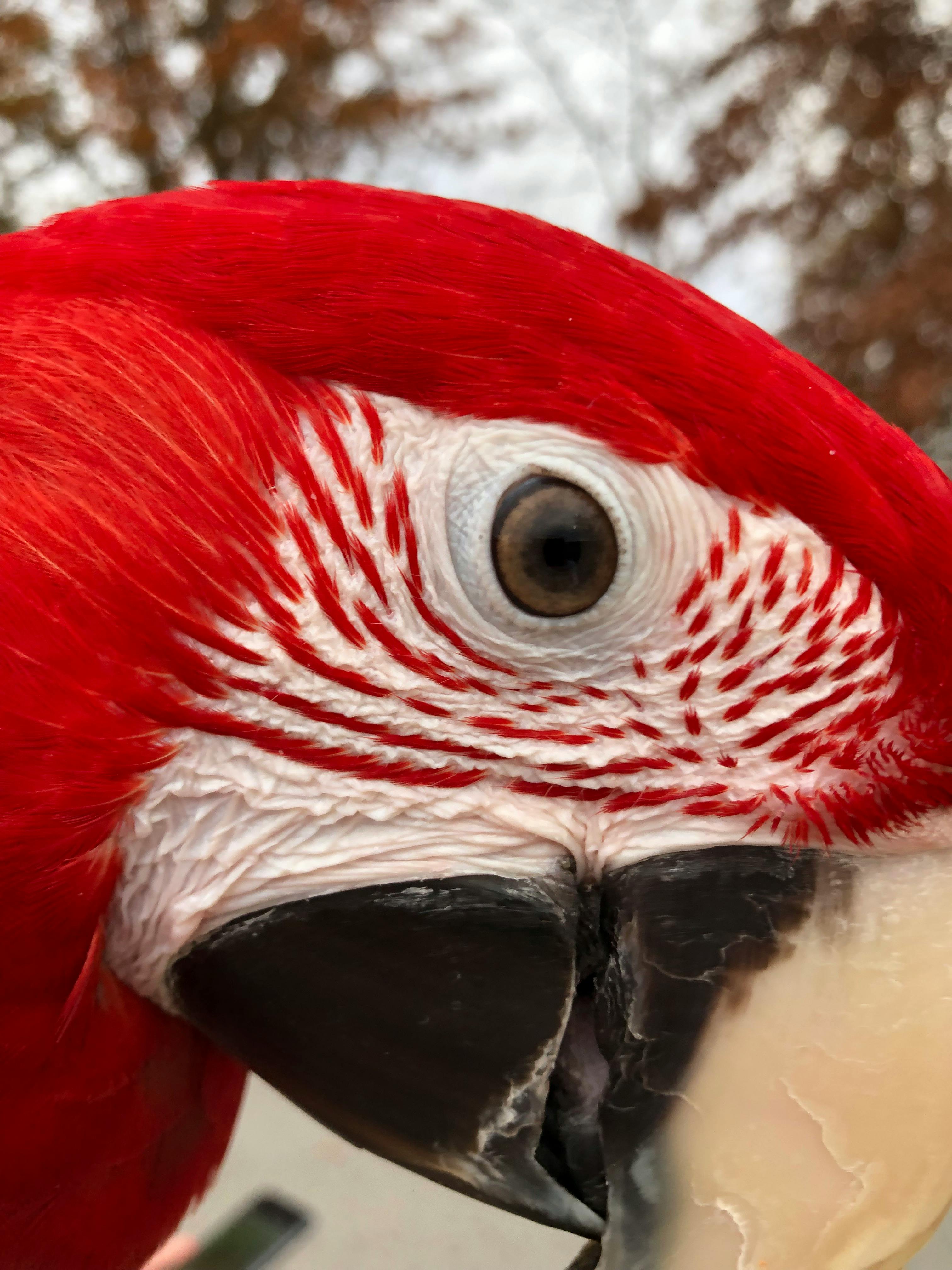 user avatar image for Kiki St. Hilaire