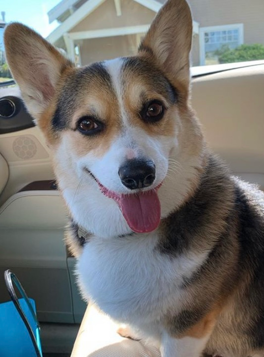 user avatar image for Jeanine 