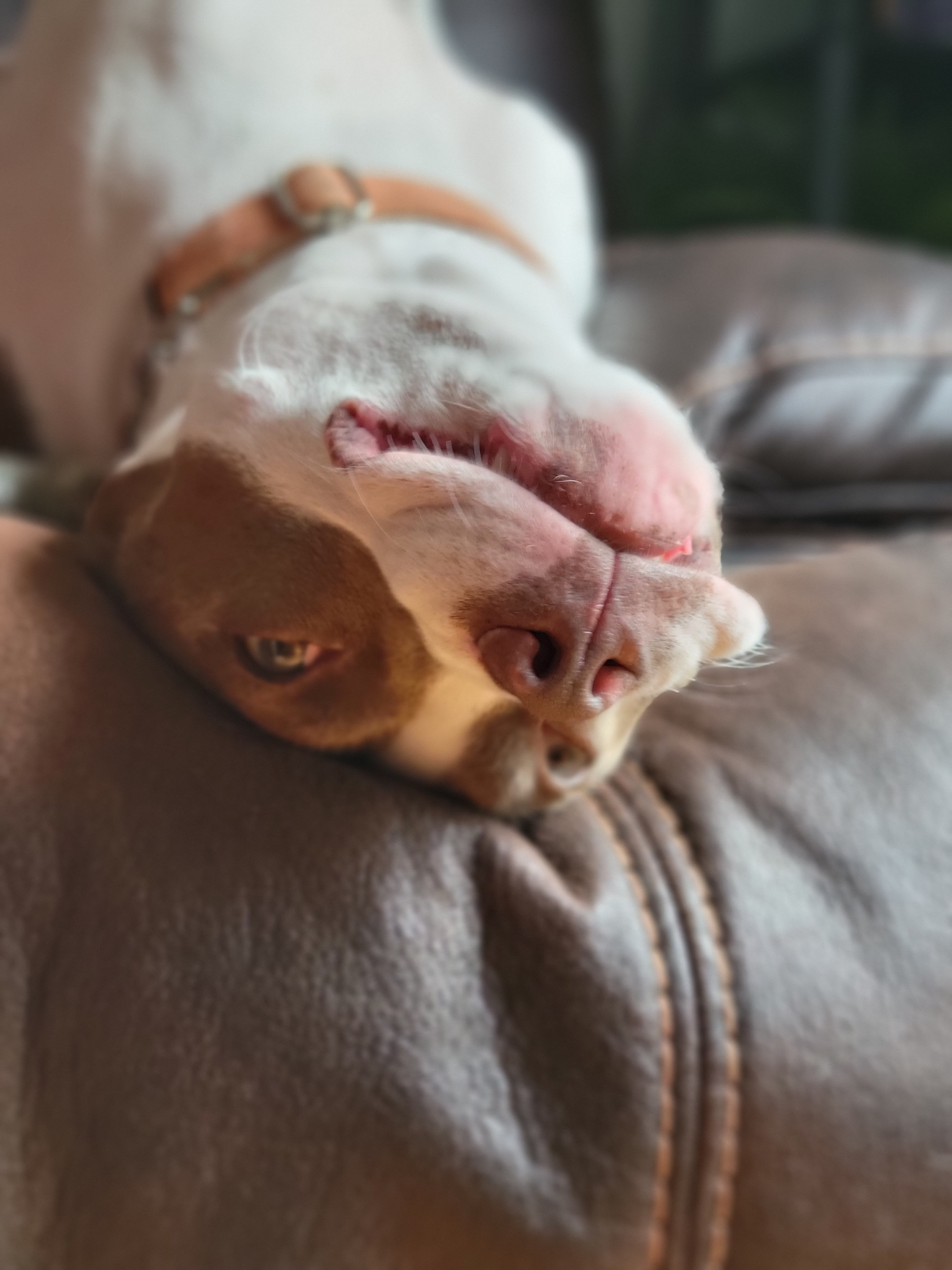 user avatar image for MrDowntown