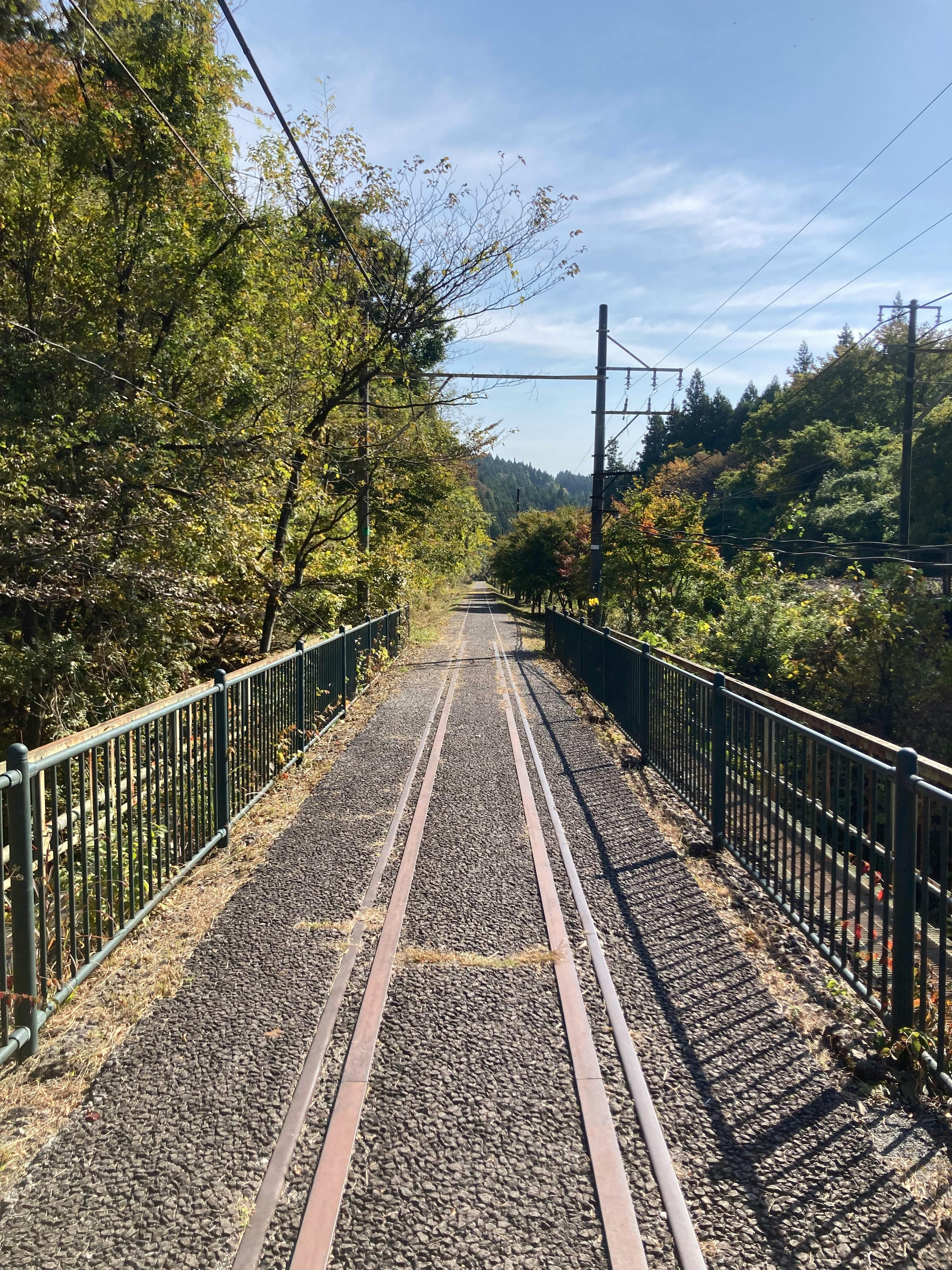 user avatar image for Alex Worcester