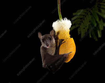 user avatar image for Luci