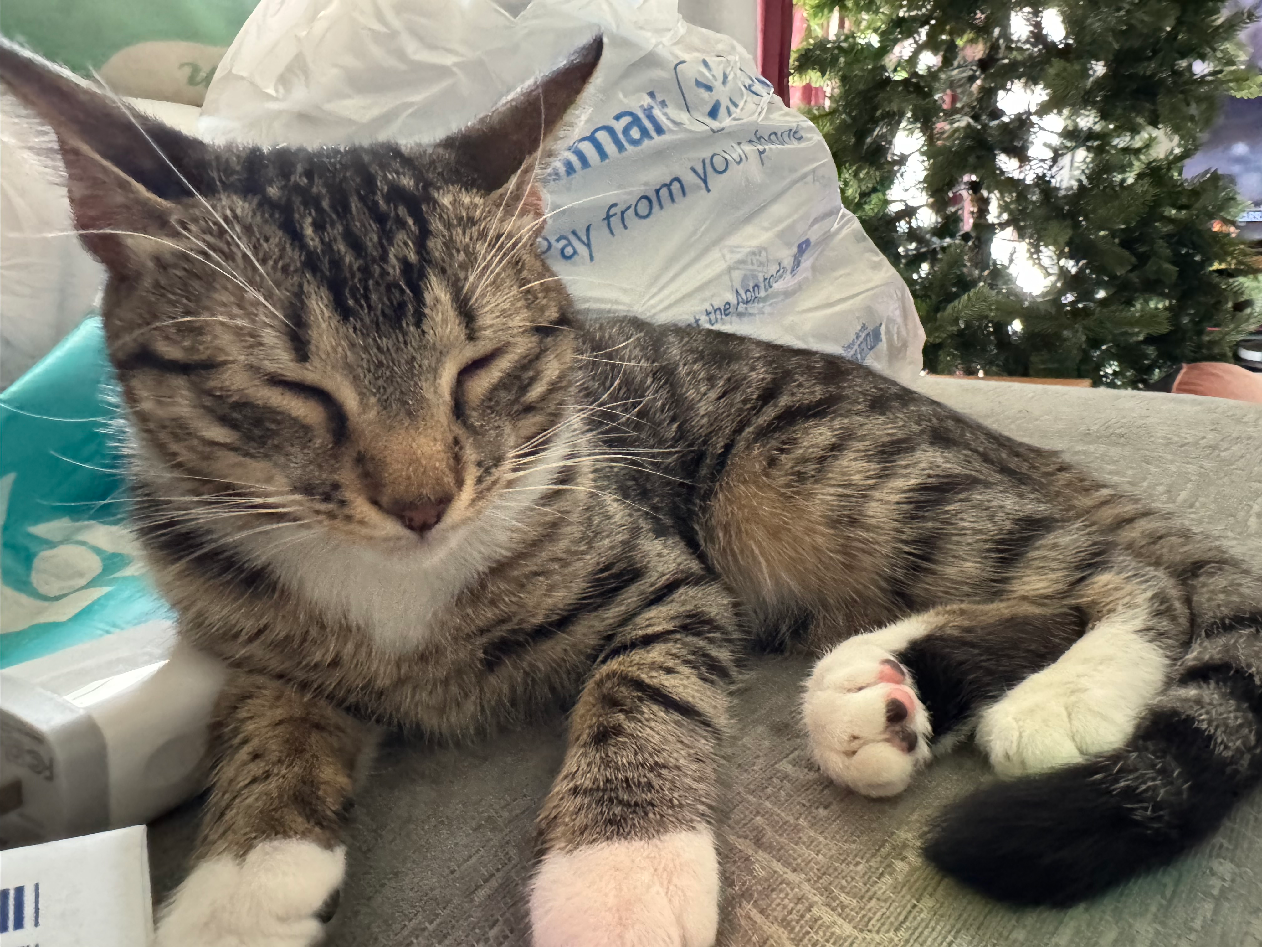 user avatar image for Kira