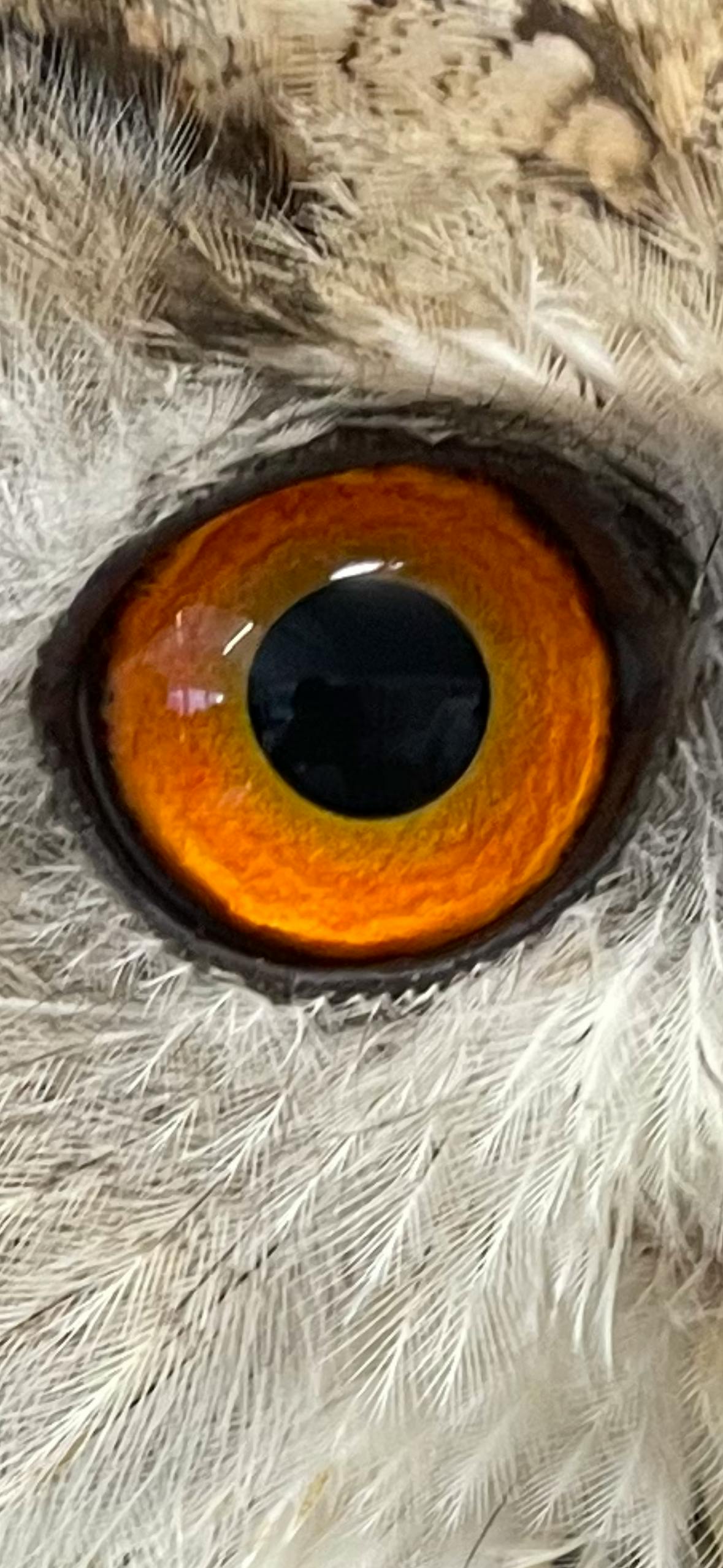 user avatar image for Deadpoet