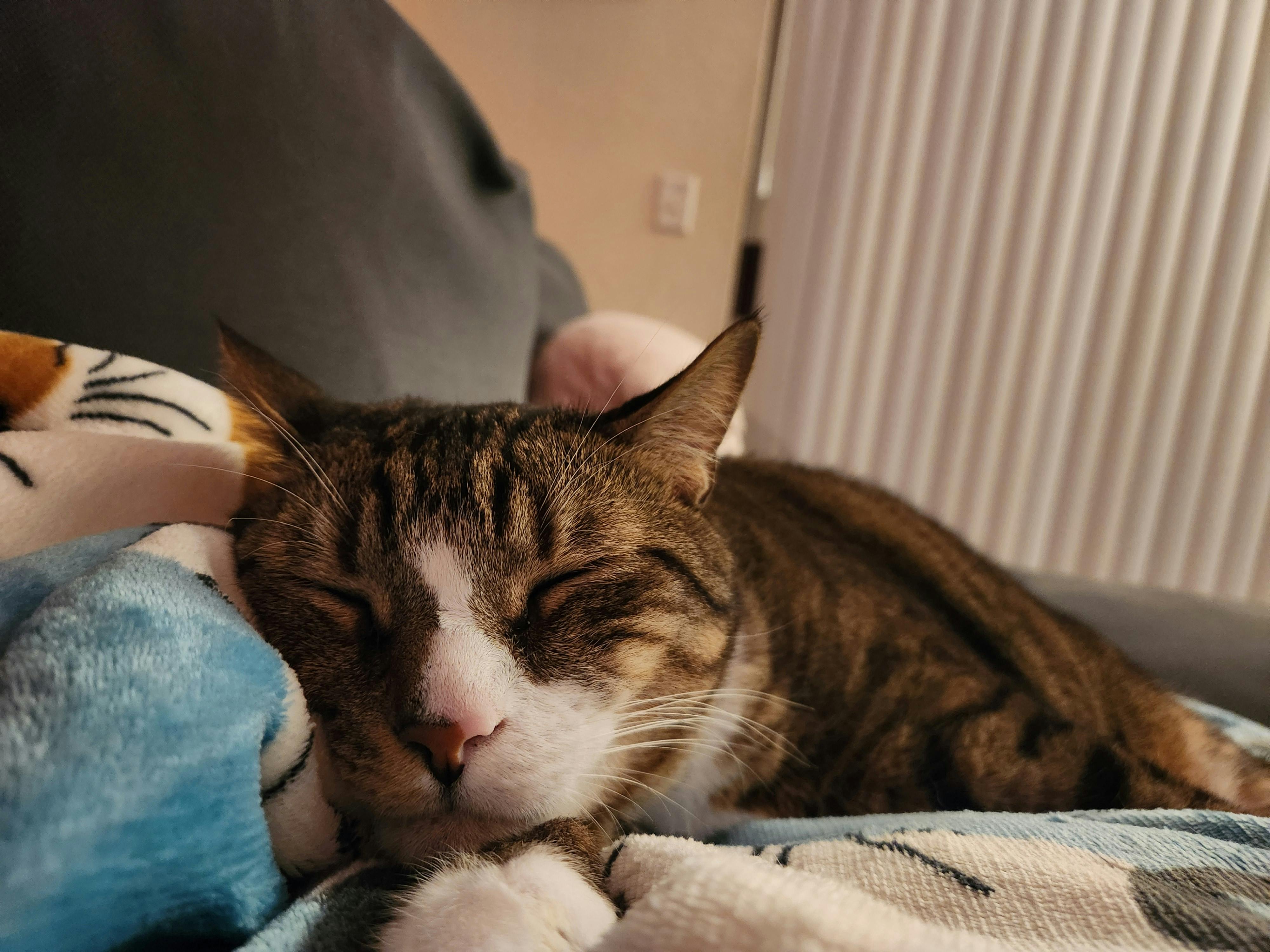 user avatar image for Nicole