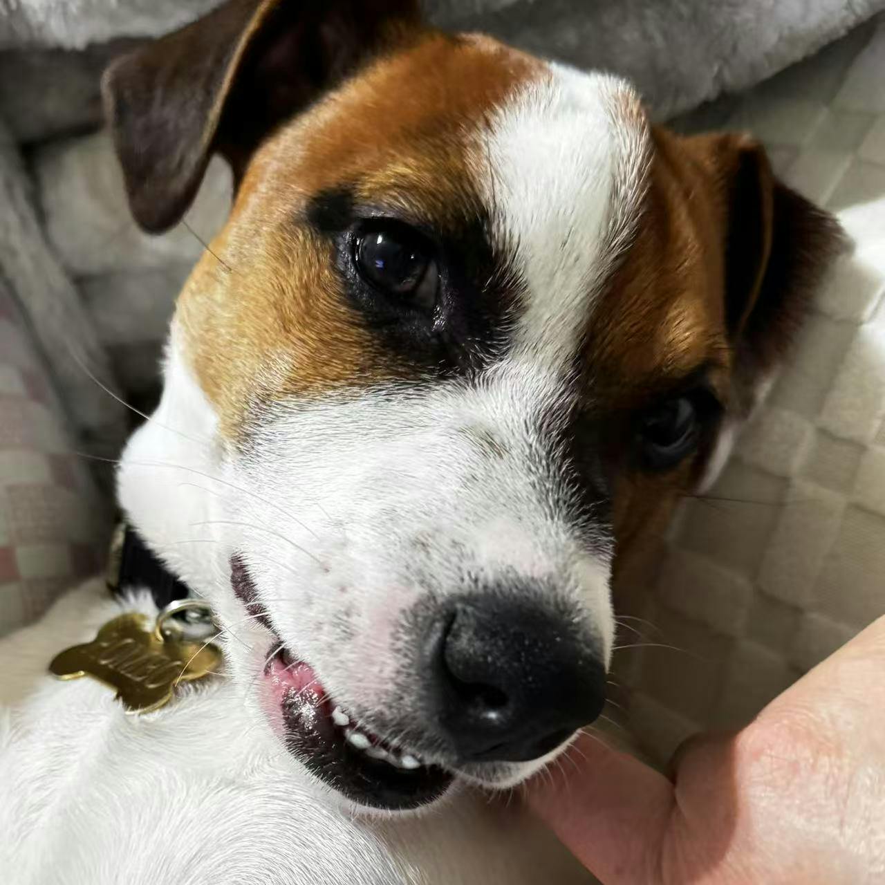 user avatar image for Robert Hauck