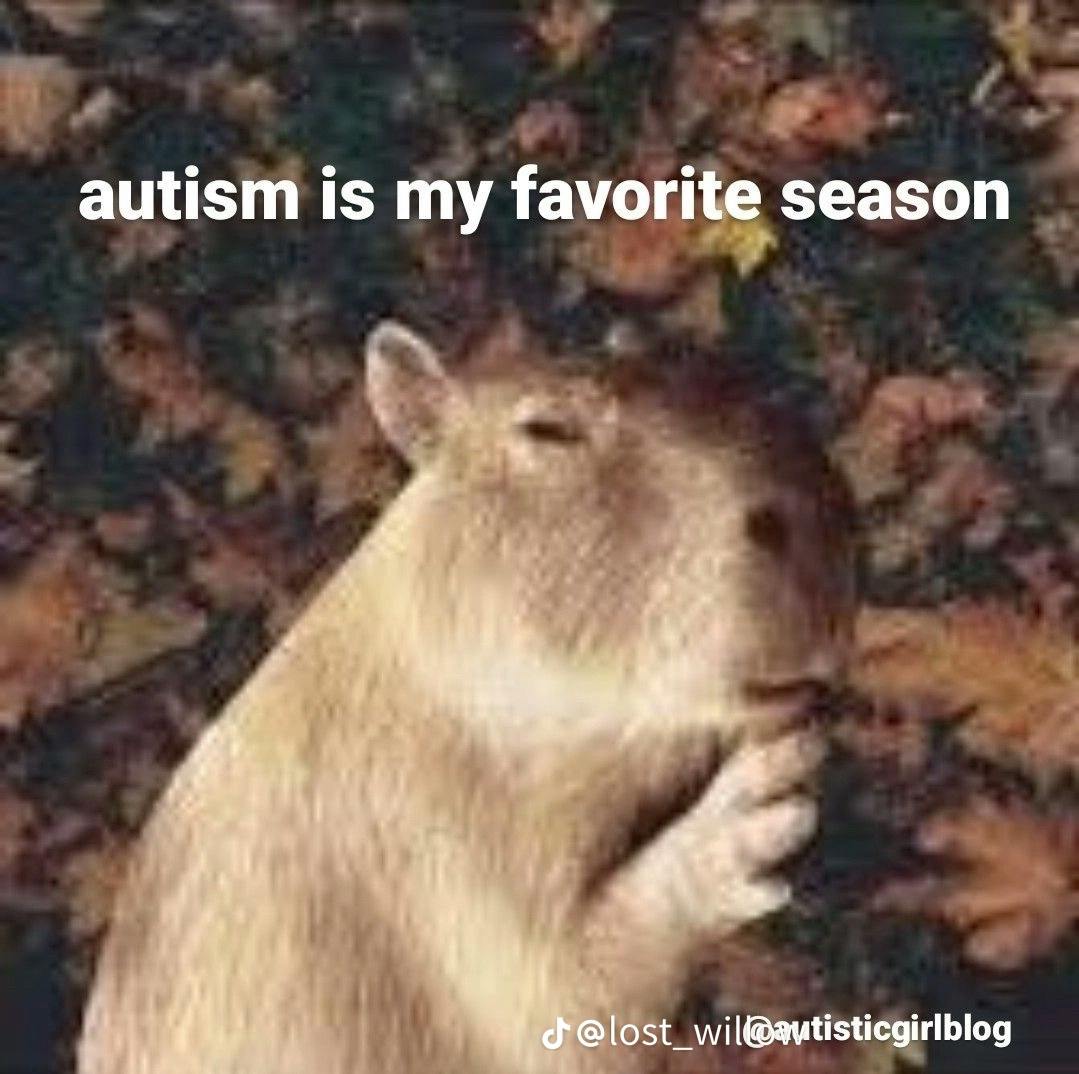 user avatar image for godlychariot24