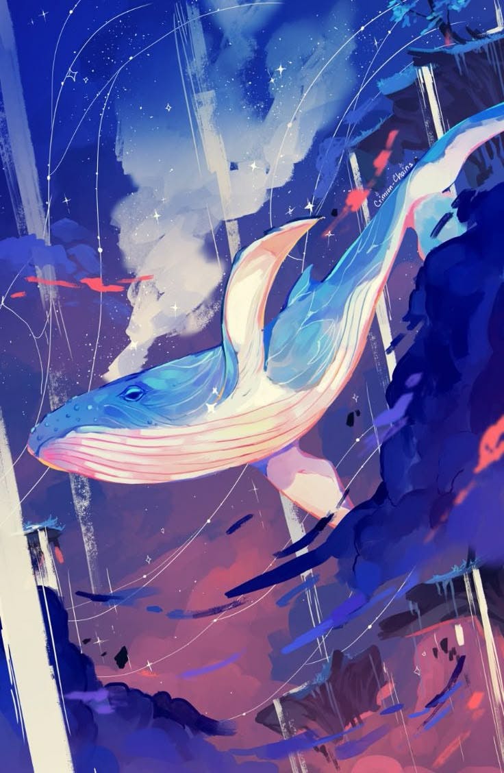 user avatar image for Rook Koch