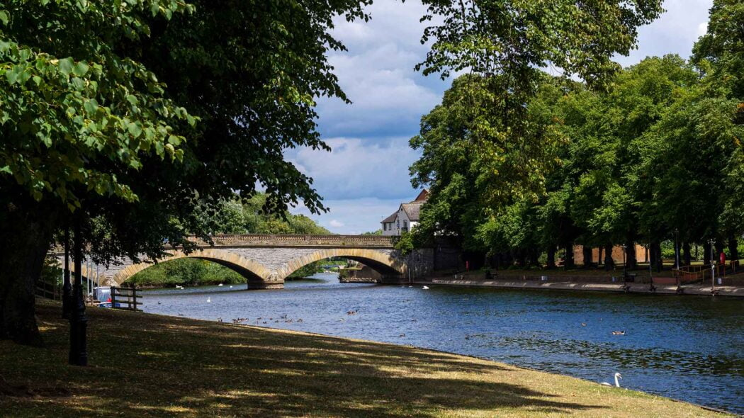 user avatar image for Warren Lapworth