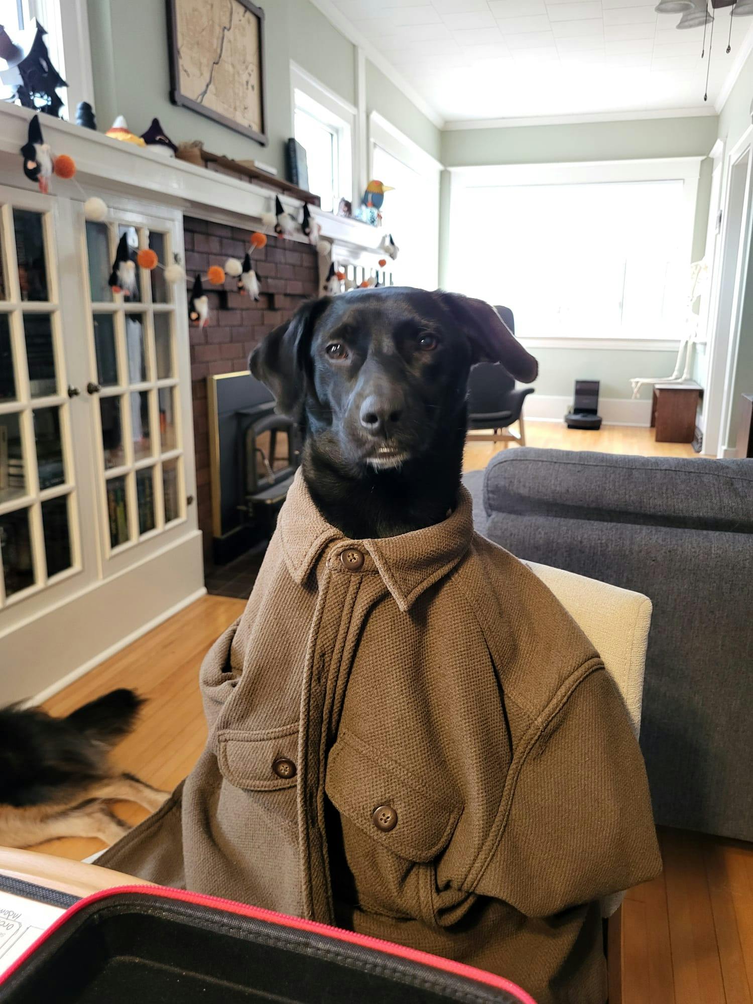 user avatar image for milesb