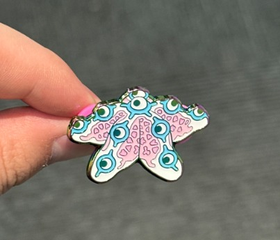 Starfish pin - rainbow