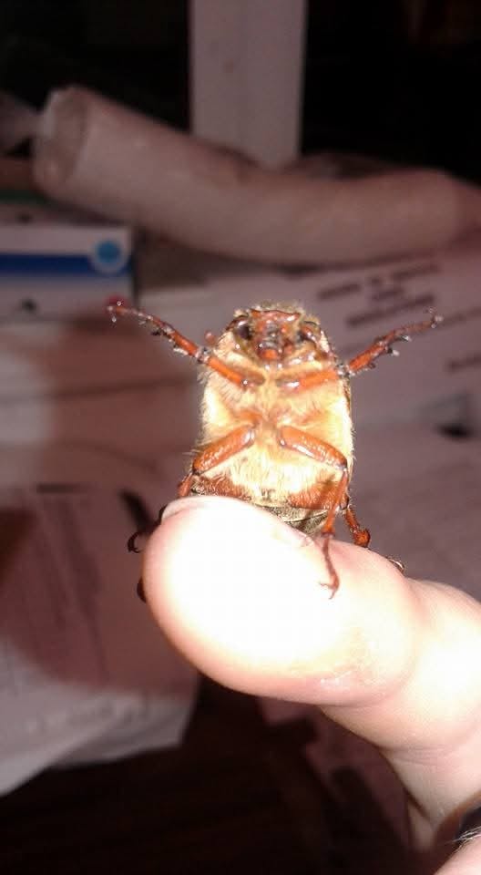 user avatar image for David toft