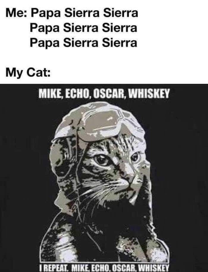 user avatar image for Danijela Duduj