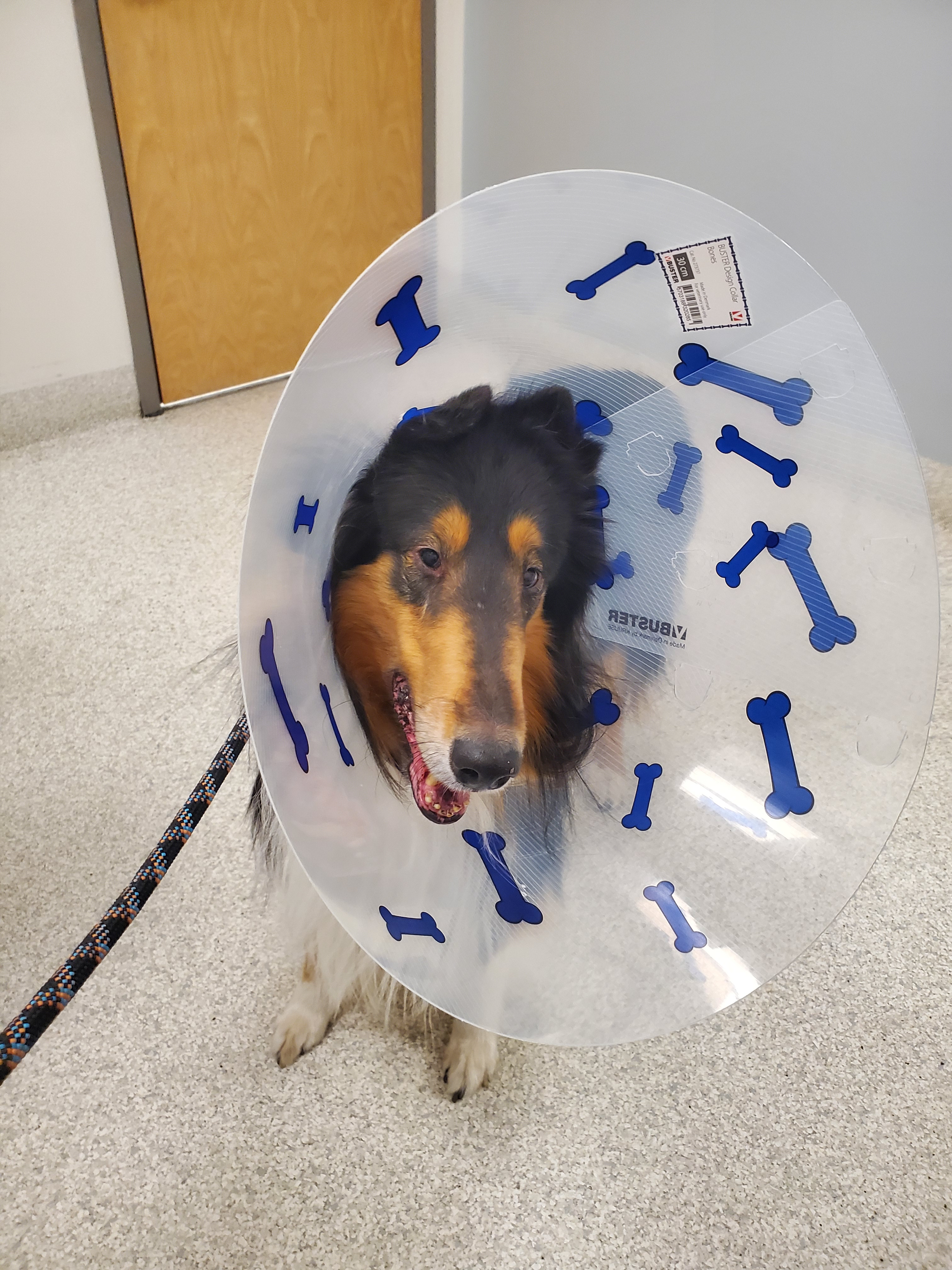 user avatar image for Madison Hass