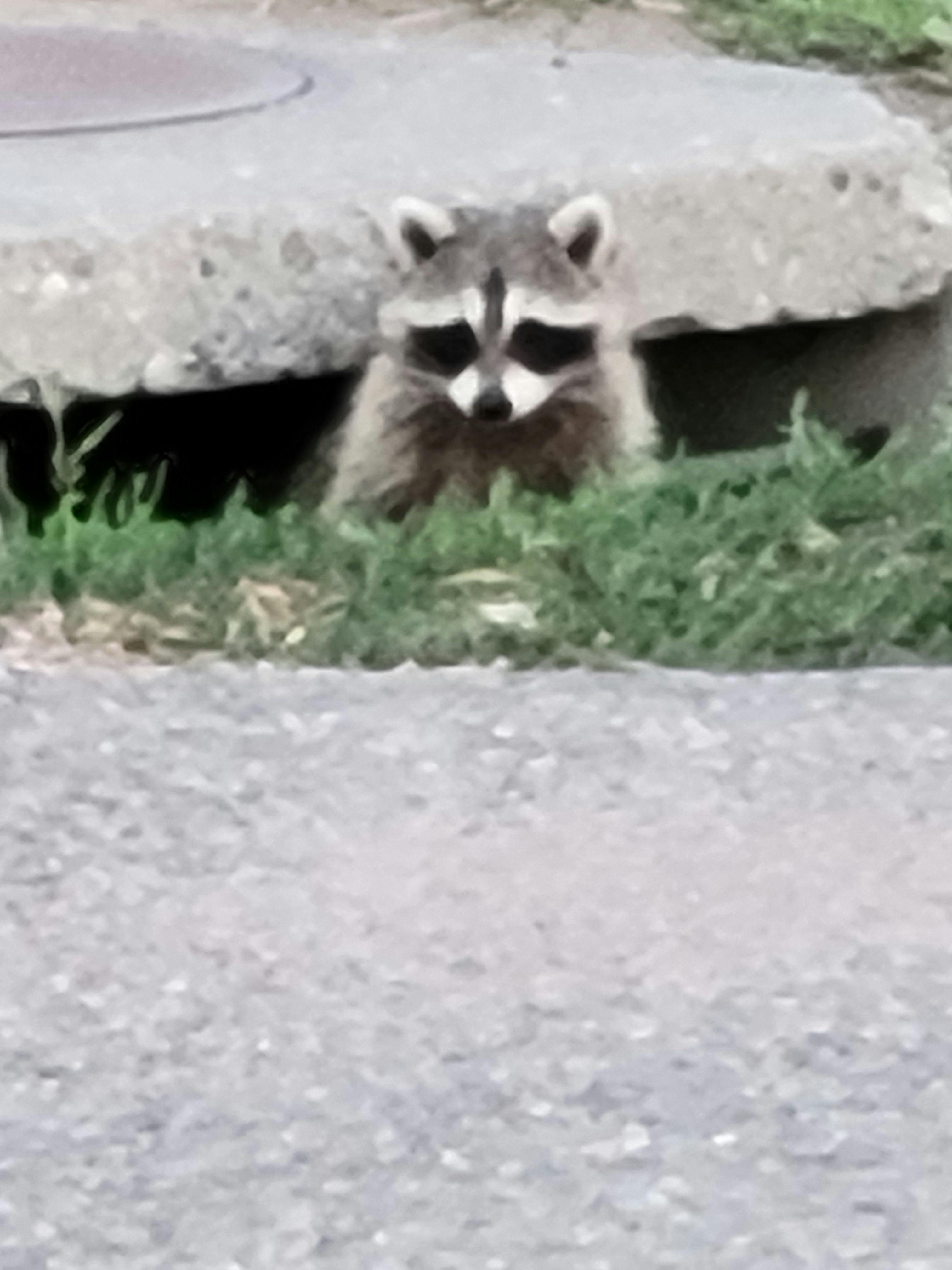 user avatar image for Rhianna Sullivan 