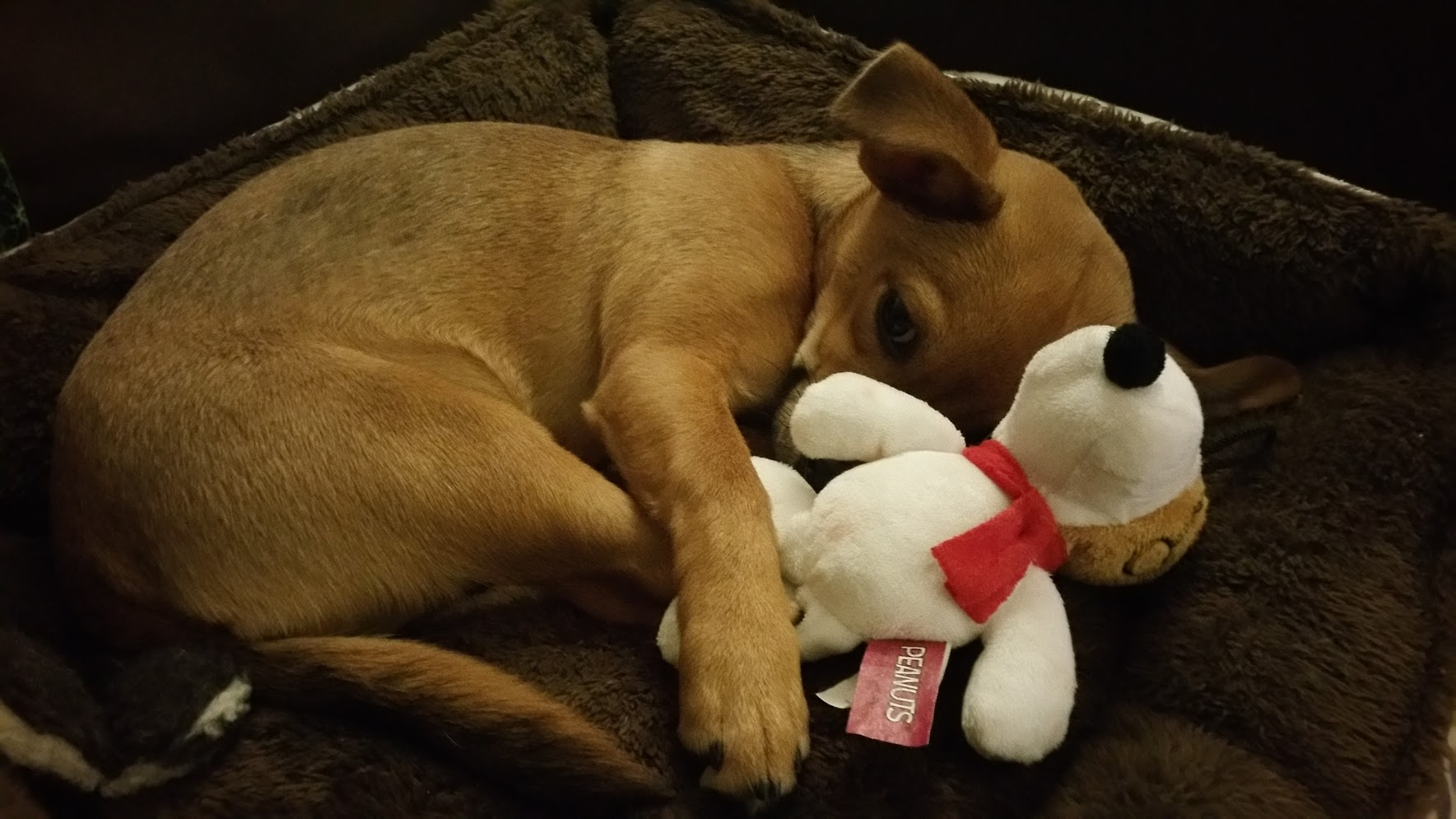 user avatar image for Timothy