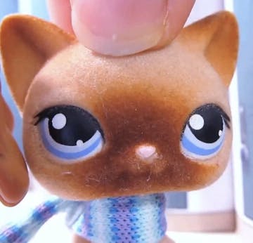 user avatar image for socksonvideo