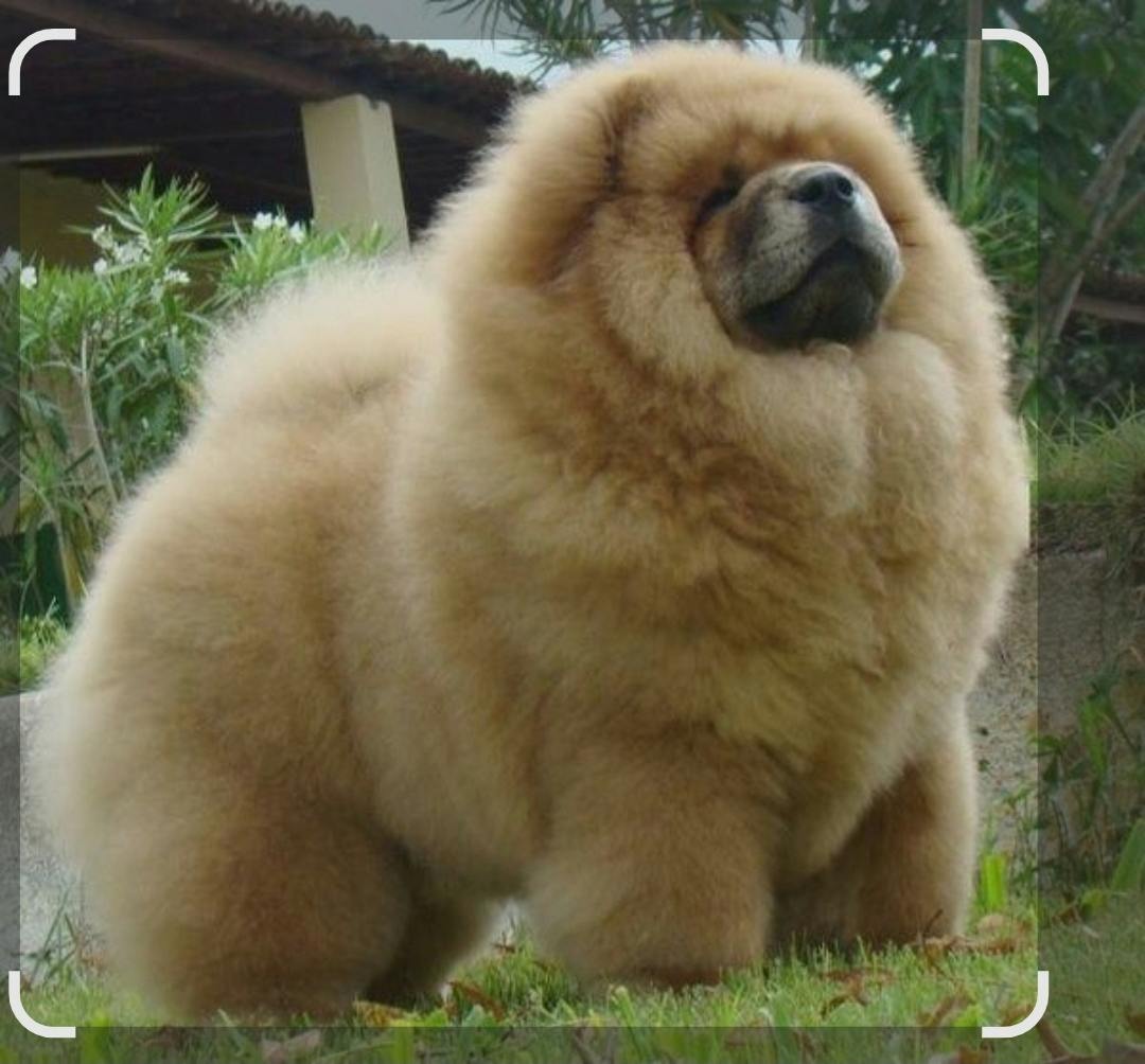 user avatar image for Xan Villanueva