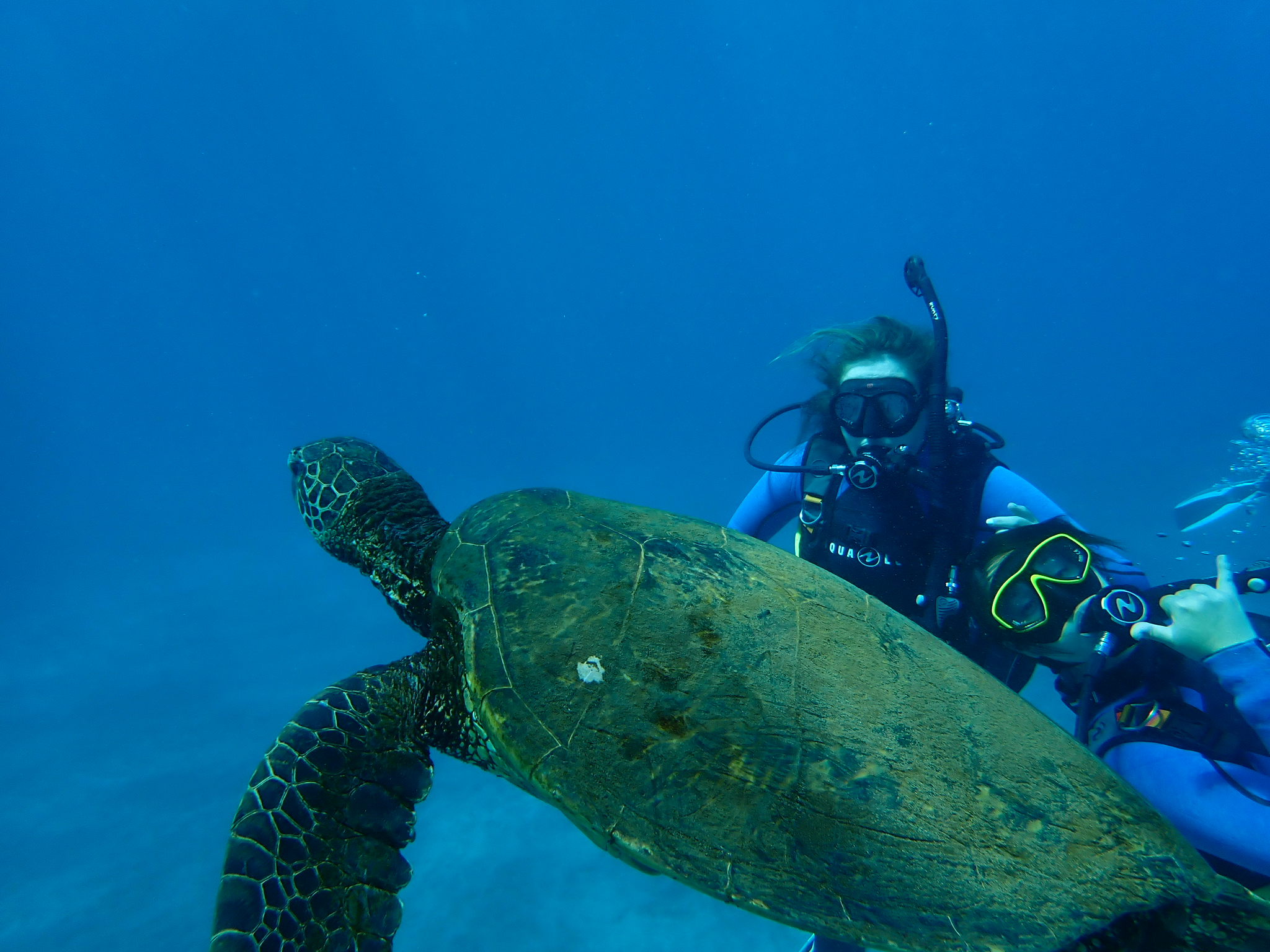 user avatar image for DJDJD