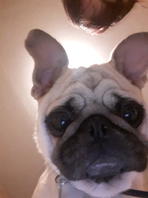 user avatar image for Deathbunnie