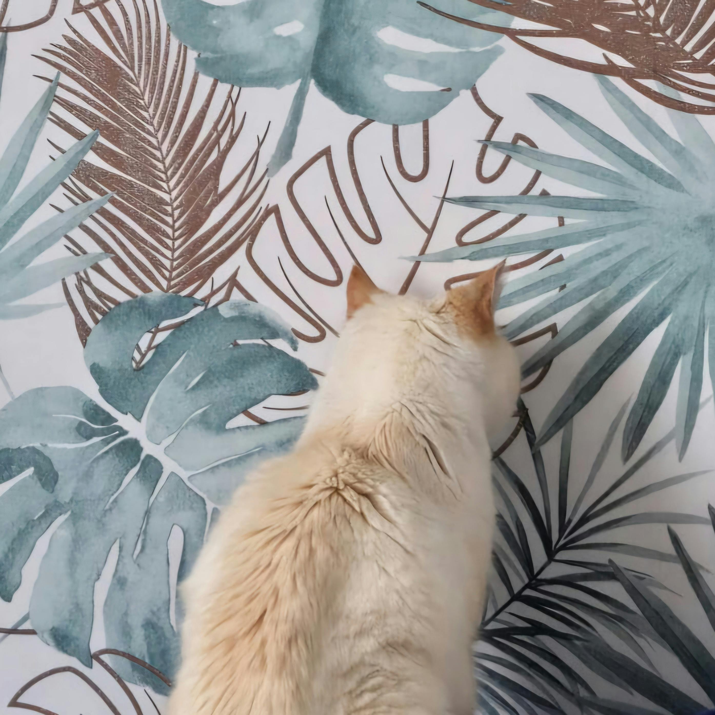 user avatar image for CreaManif