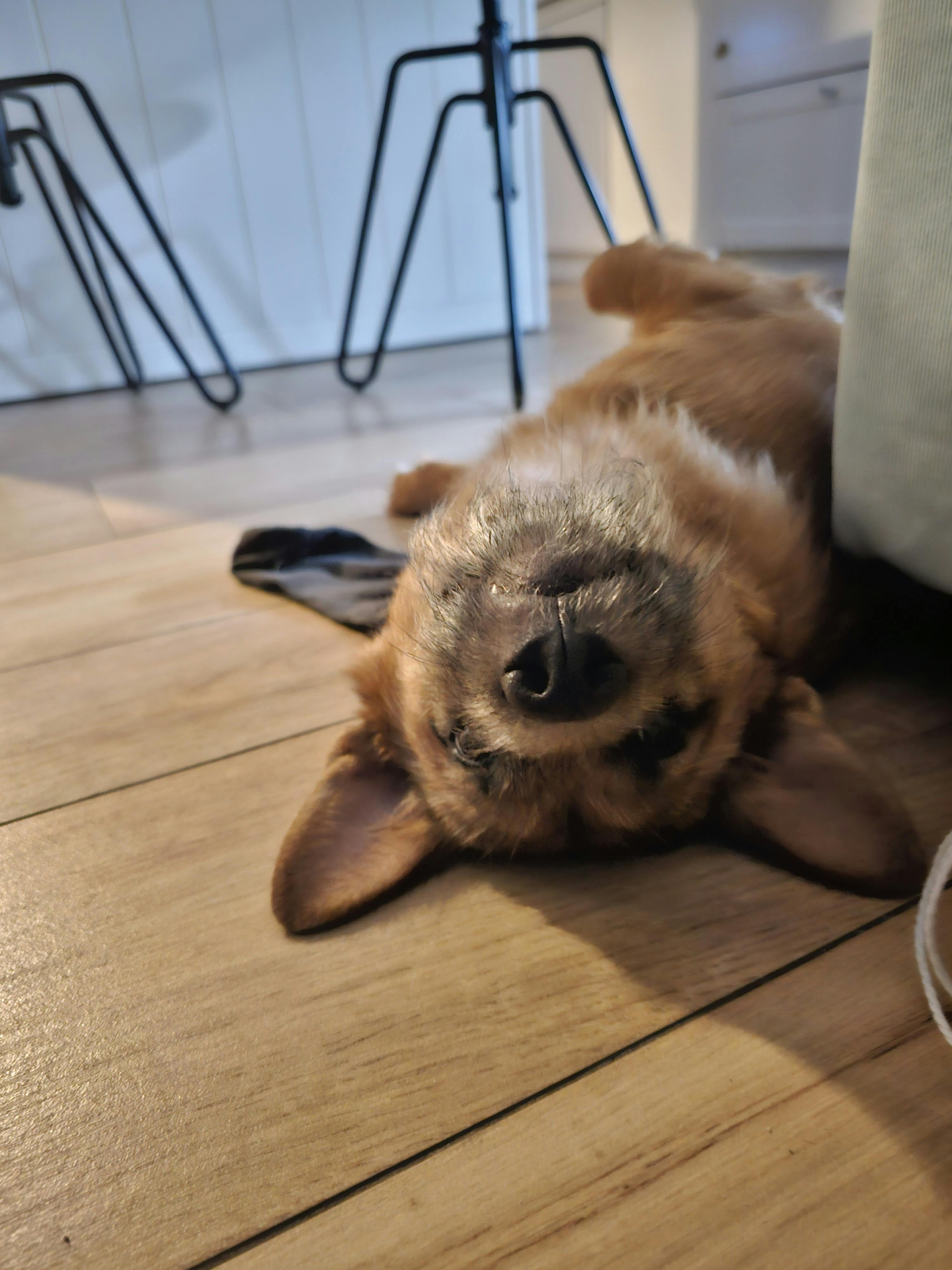 user avatar image for Jakuwi