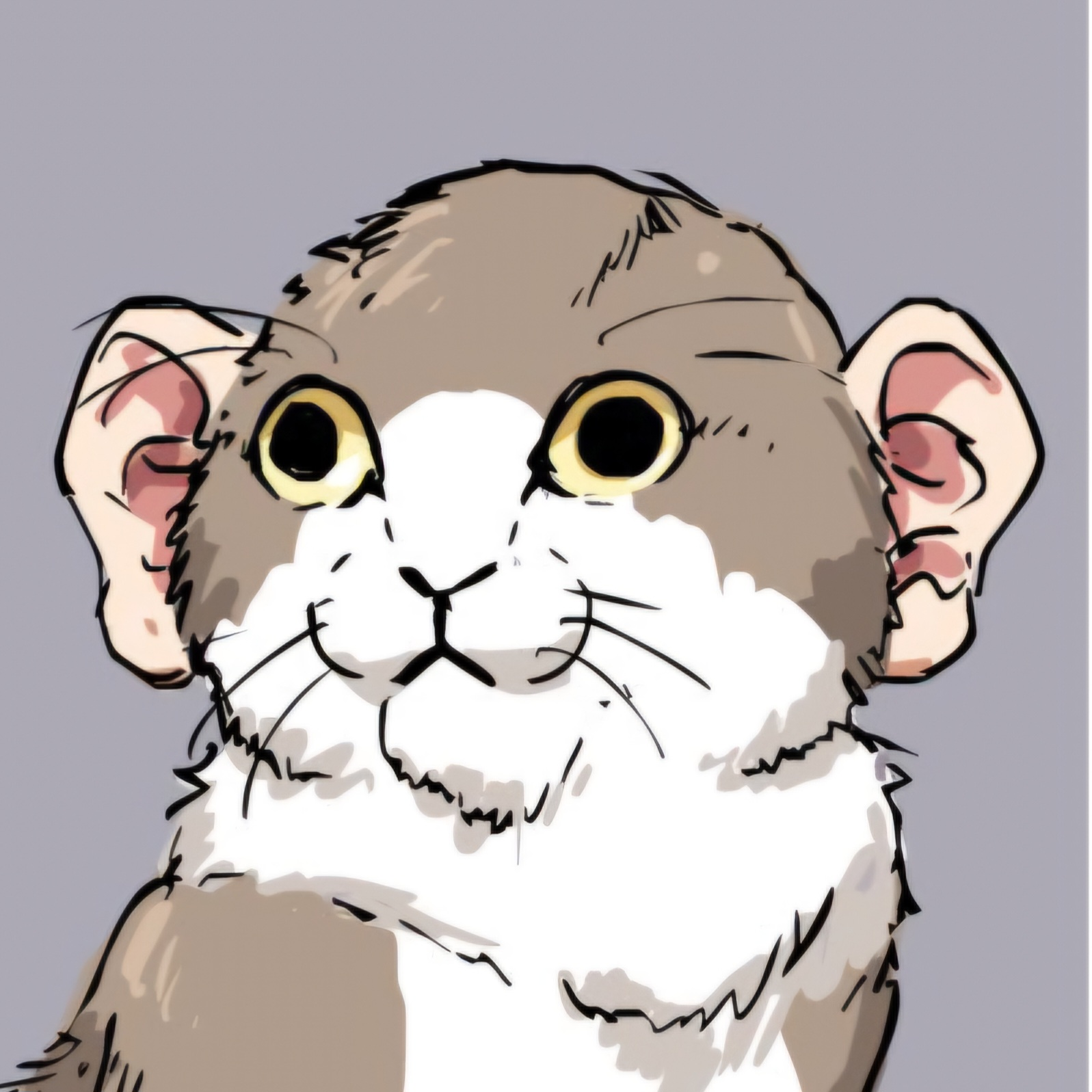 user avatar image for Martin Rønning 