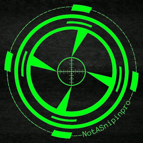 user avatar image for NotSnipinpro
