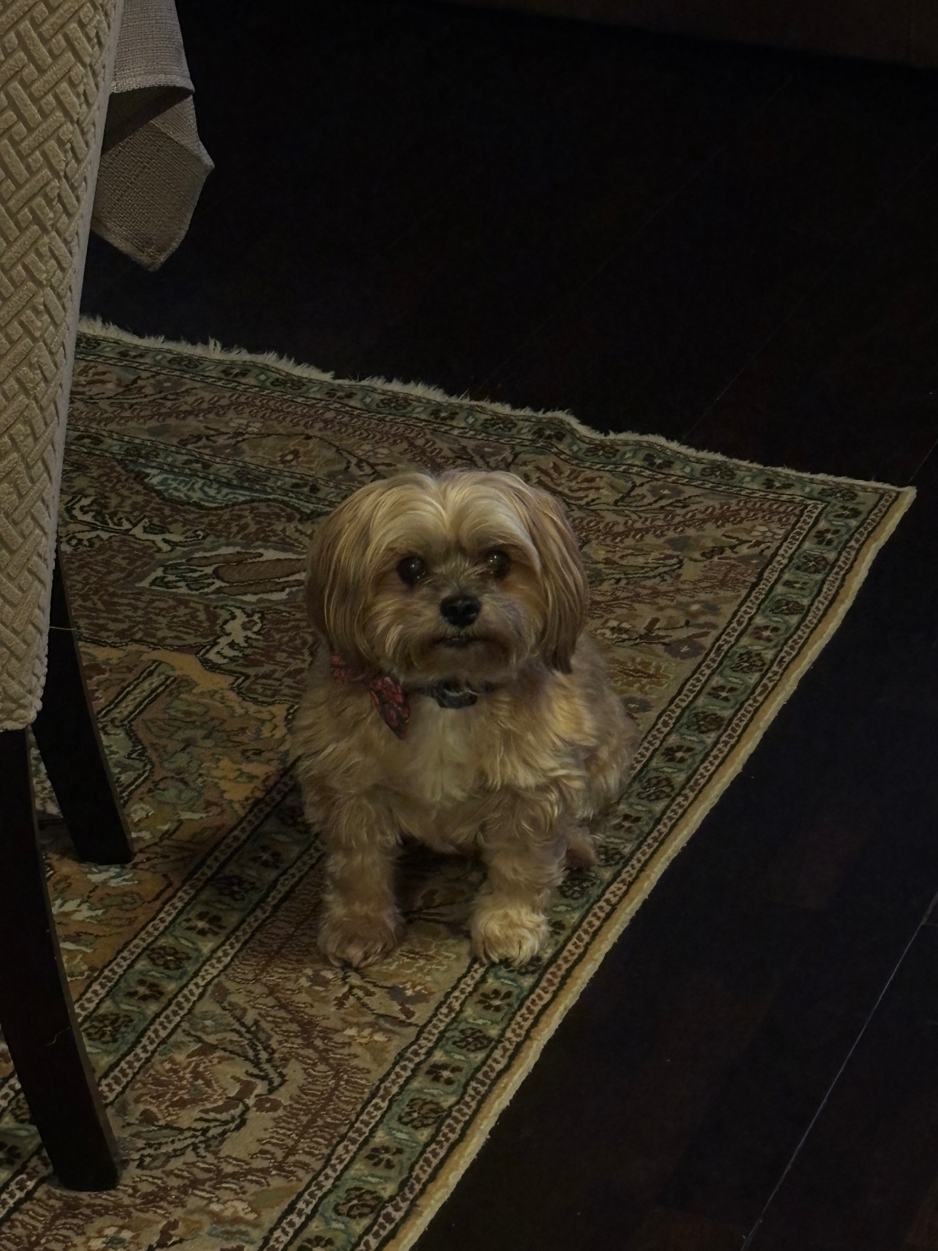 user avatar image for Tina Robinson