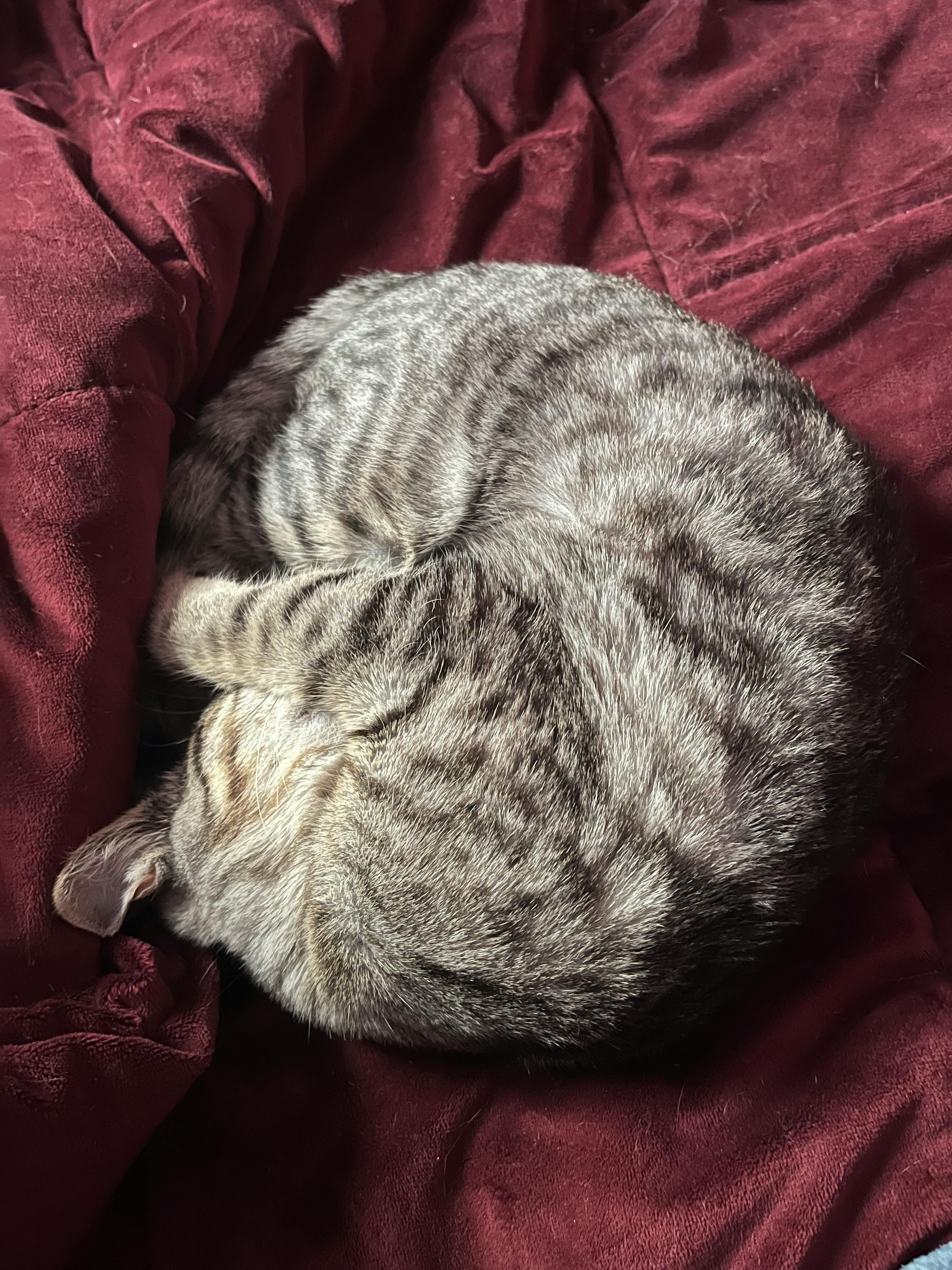 user avatar image for Tiffany Stehlik