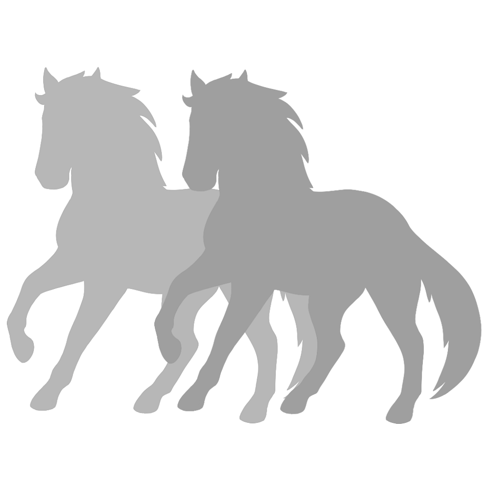 2 Horse Pins
