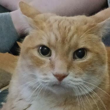 user avatar image for Solar