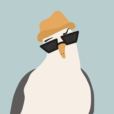 user avatar image for Not a Seagull