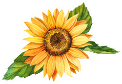 user avatar image for August