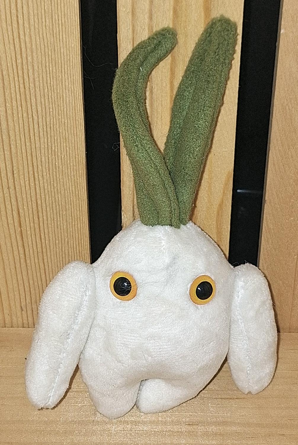 Onion Mandrake - Small Size