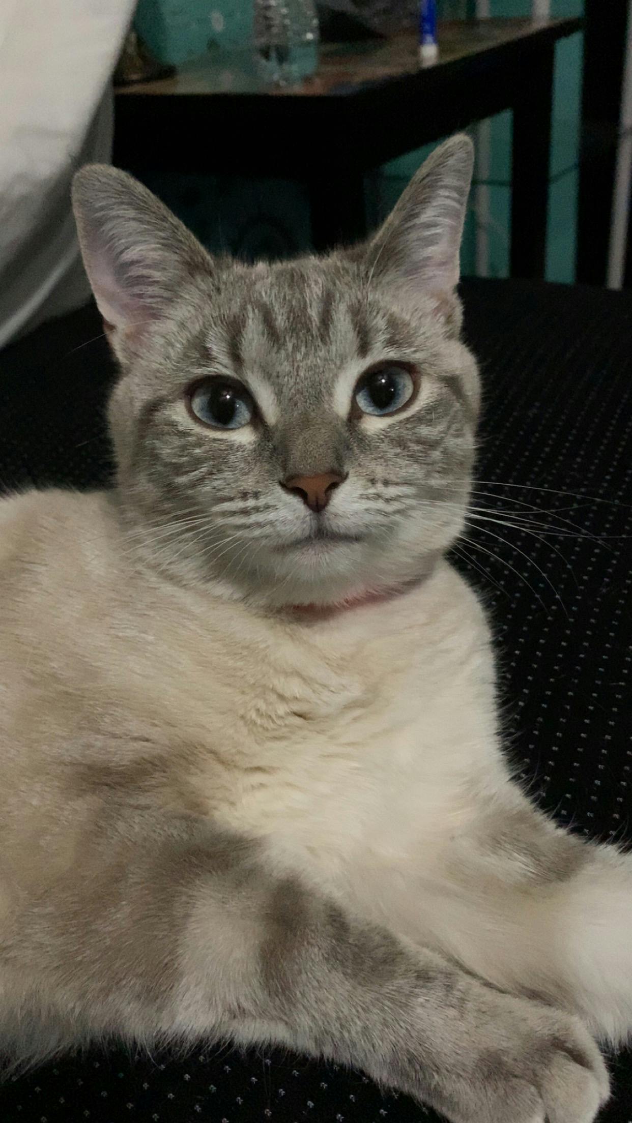 user avatar image for Taylor