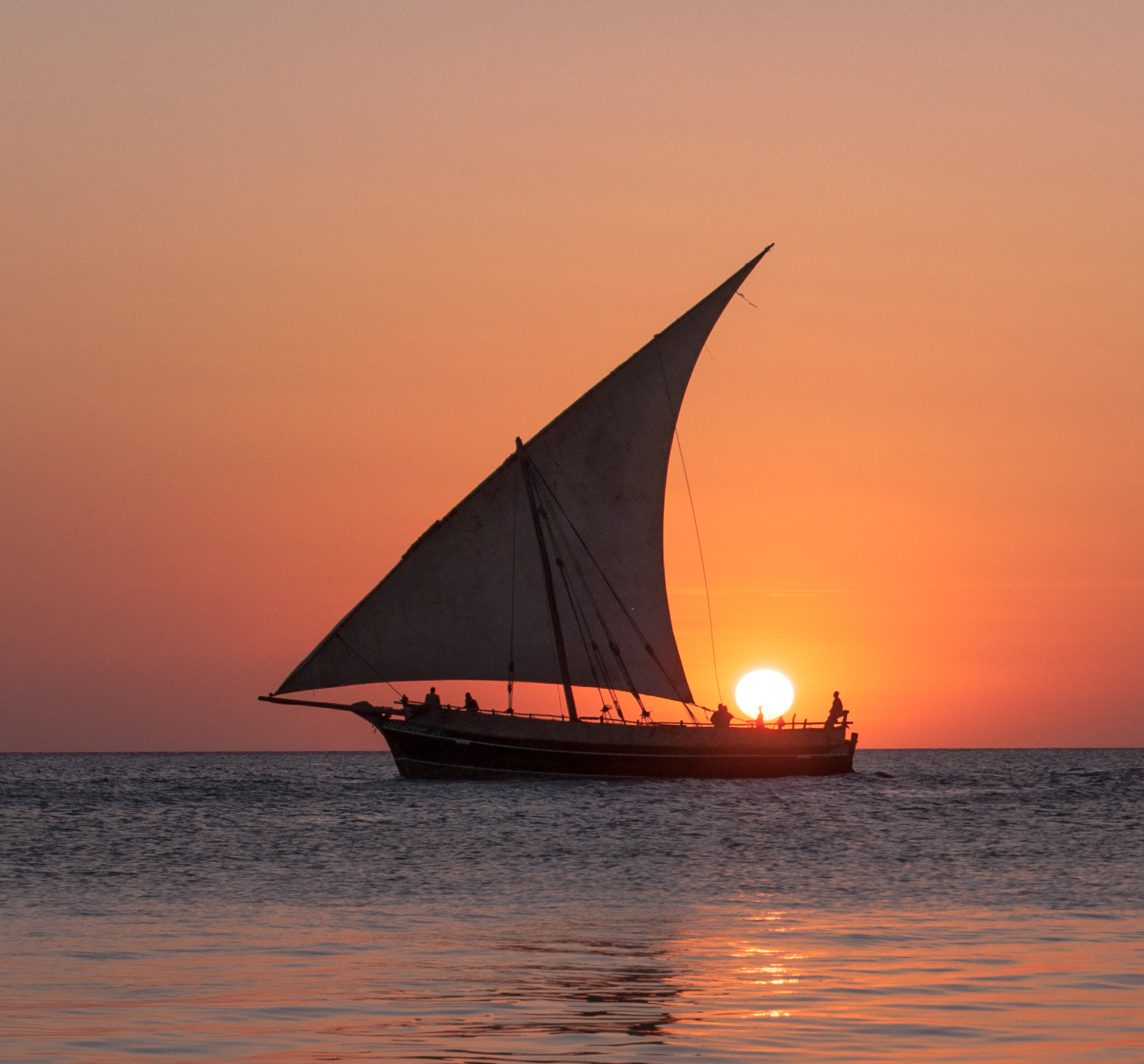 user avatar image for MB