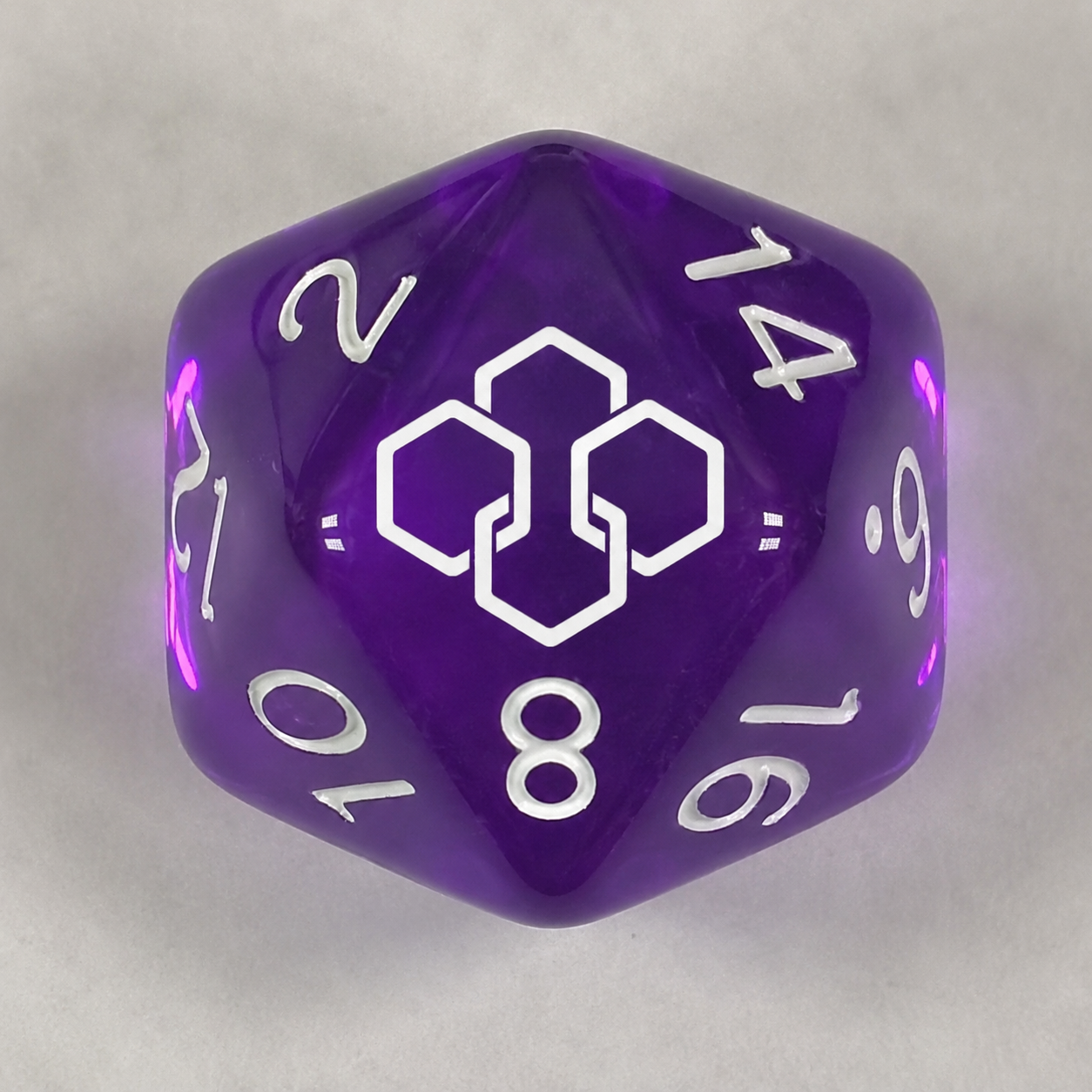 Modern Meeple D20