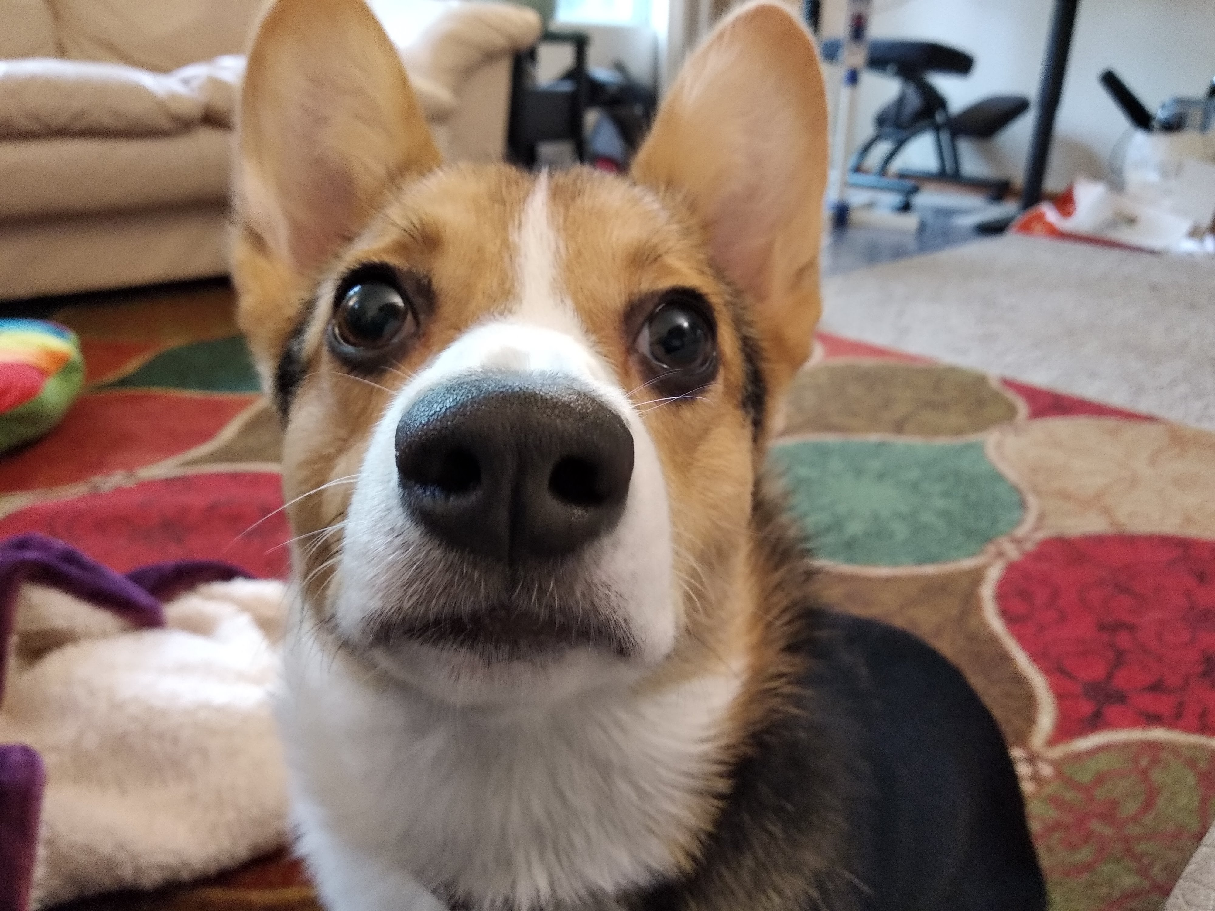 user avatar image for Sunny Golds