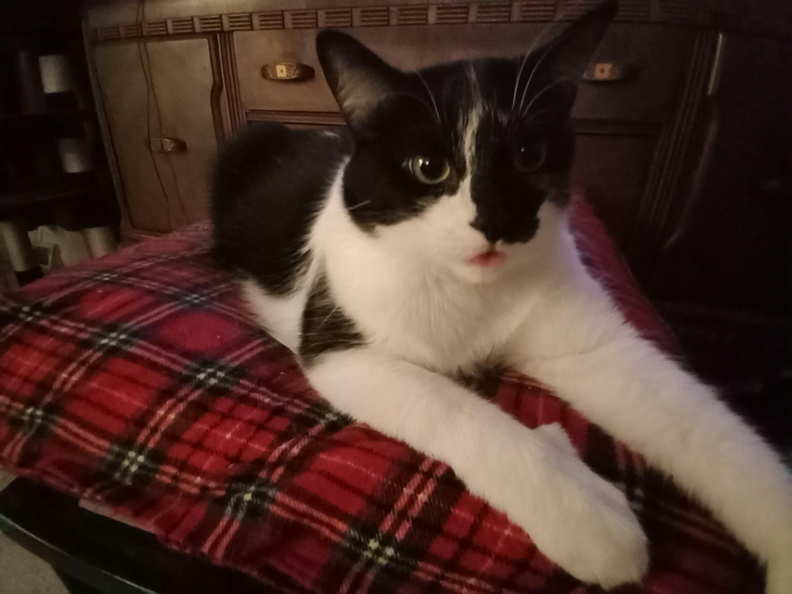 user avatar image for Shawn